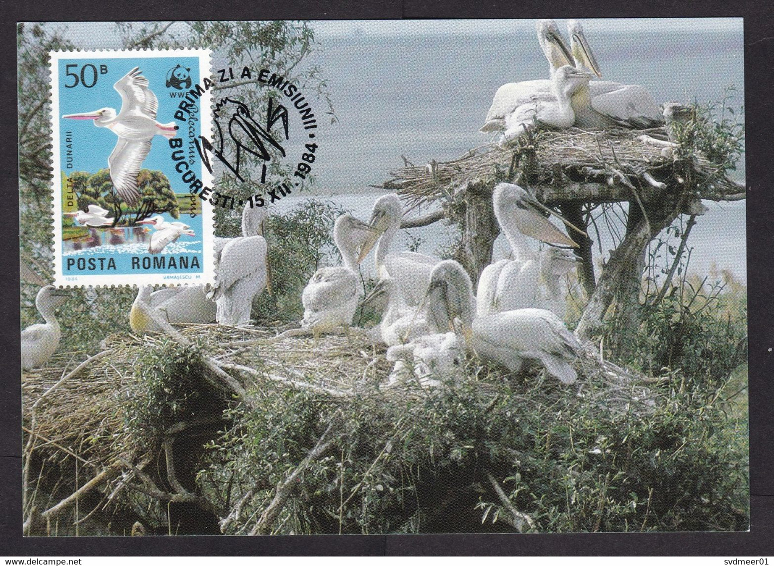 Romania: Maximum Card, 1984, 1 Stamp, Pelican Bird, WWF Panda Logo, Animal Protection, Maxicard (traces Of Use) - Lettres & Documents