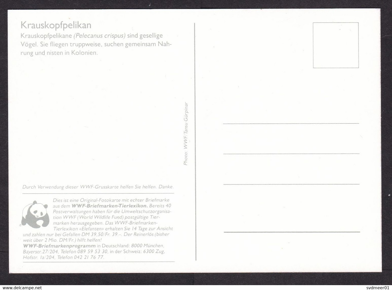 Romania: Maximum Card, 1984, 1 Stamp, Pelican Bird, WWF Panda Logo, Animal Protection, Maxicard (traces Of Use) - Lettres & Documents