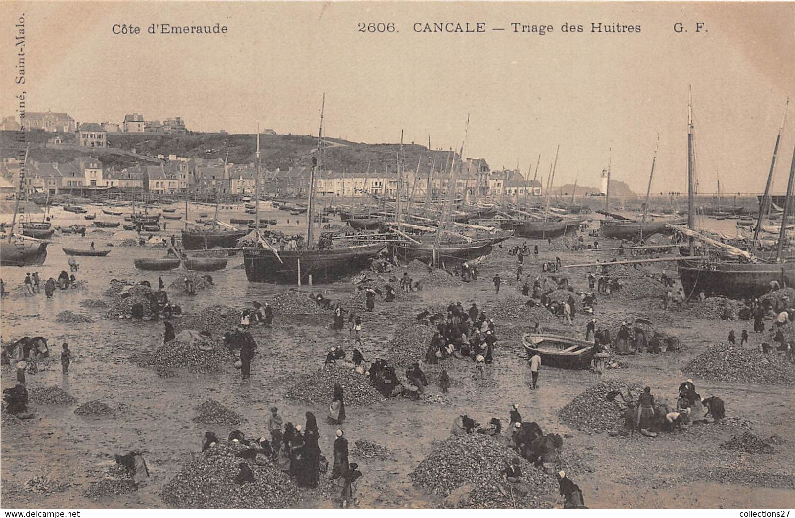 35-CANCALE- TRIAGE DES HUITRES - Cancale