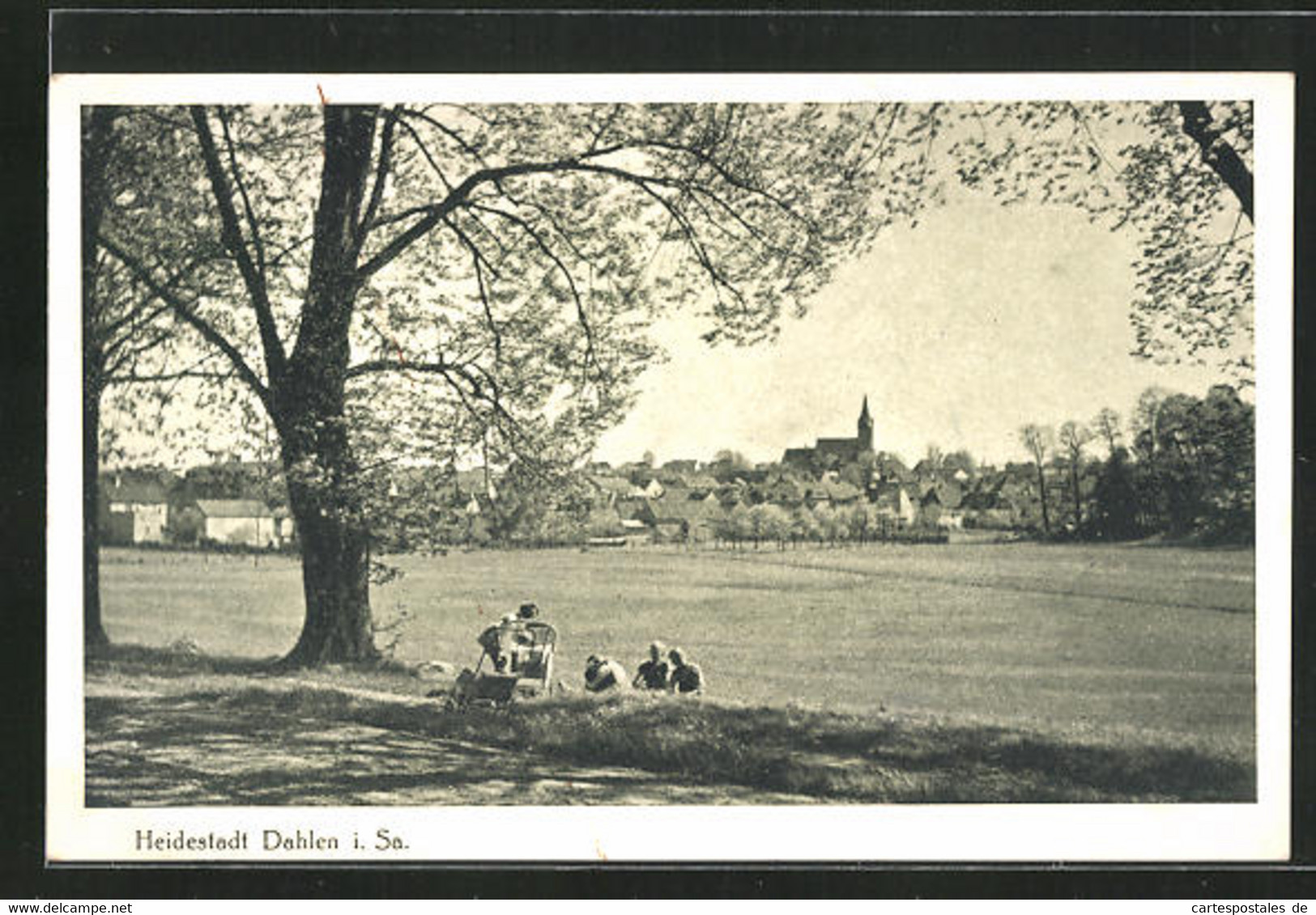 AK Dahlen / Sachsen, Panoramablick Zur Stadt - Dahlen