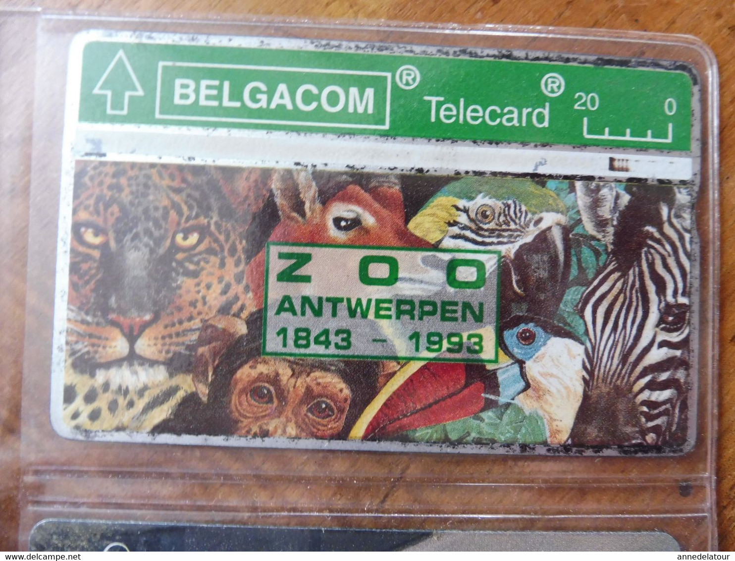 8 Télécartes (cartes Téléphoniques)  BELGACOM (publicité ,Zoo Antwerpen, Bobbejaanland, Musée , Etc)  Belgique - Collections