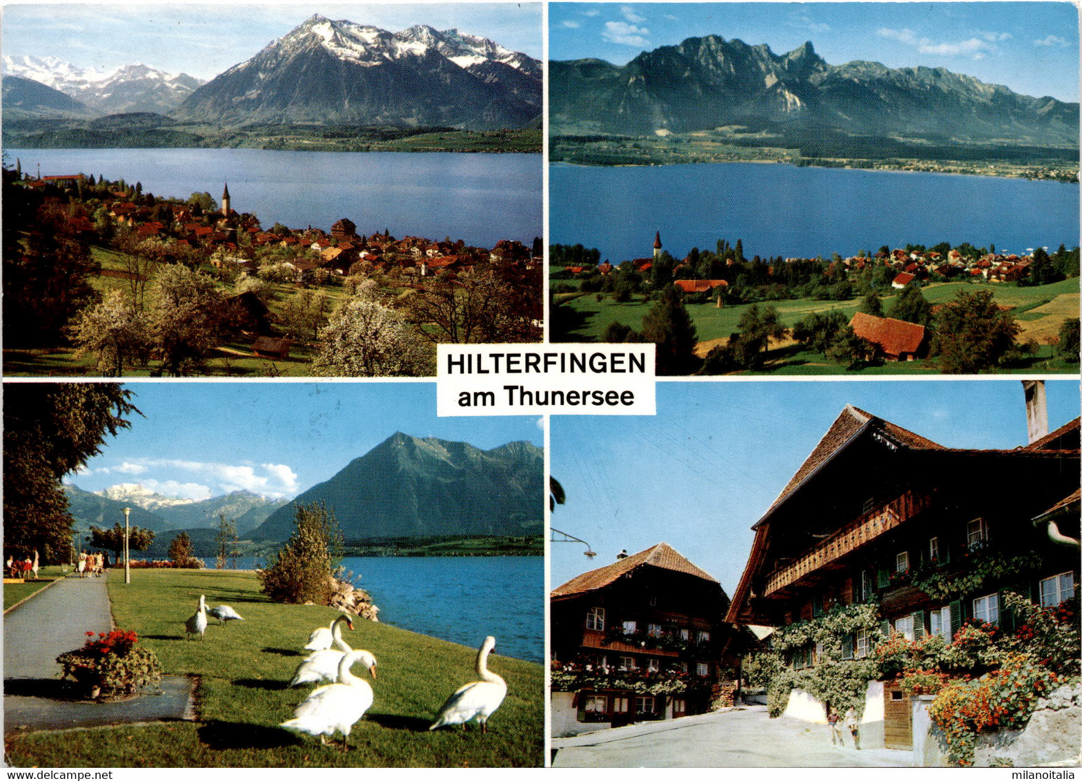 Hilterfingen Am Thunersee - 4 Bilder (32100) * 21. 8. 1994 - Hilterfingen