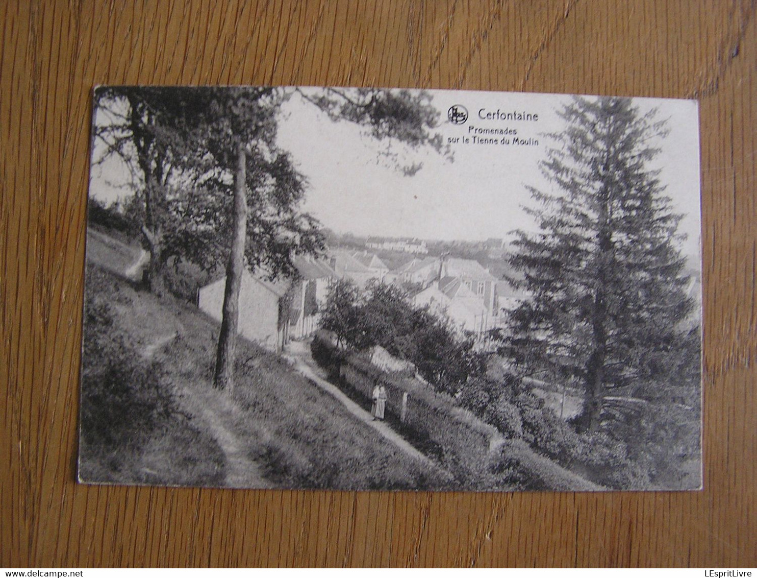 CERFONTAINE Promenades Sur Le Tienne Du Moulin Animée Province De Namur Belgique Carte Postale Post Card - Cerfontaine