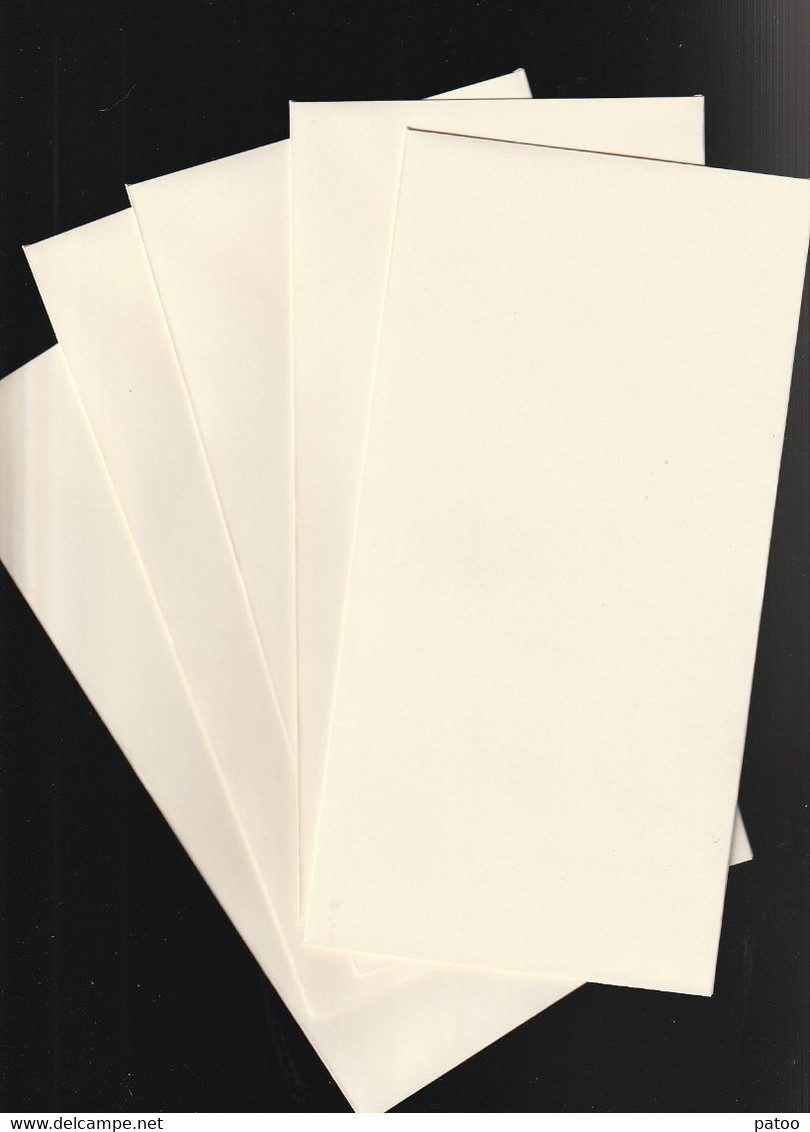 LOT  DE 12  FEUILLES DE  PAPIER  A  LETTRE ILLUSTREES ( TIGRES )  + 5 ENVELOPPES / GRAND FORMAT - Diddl