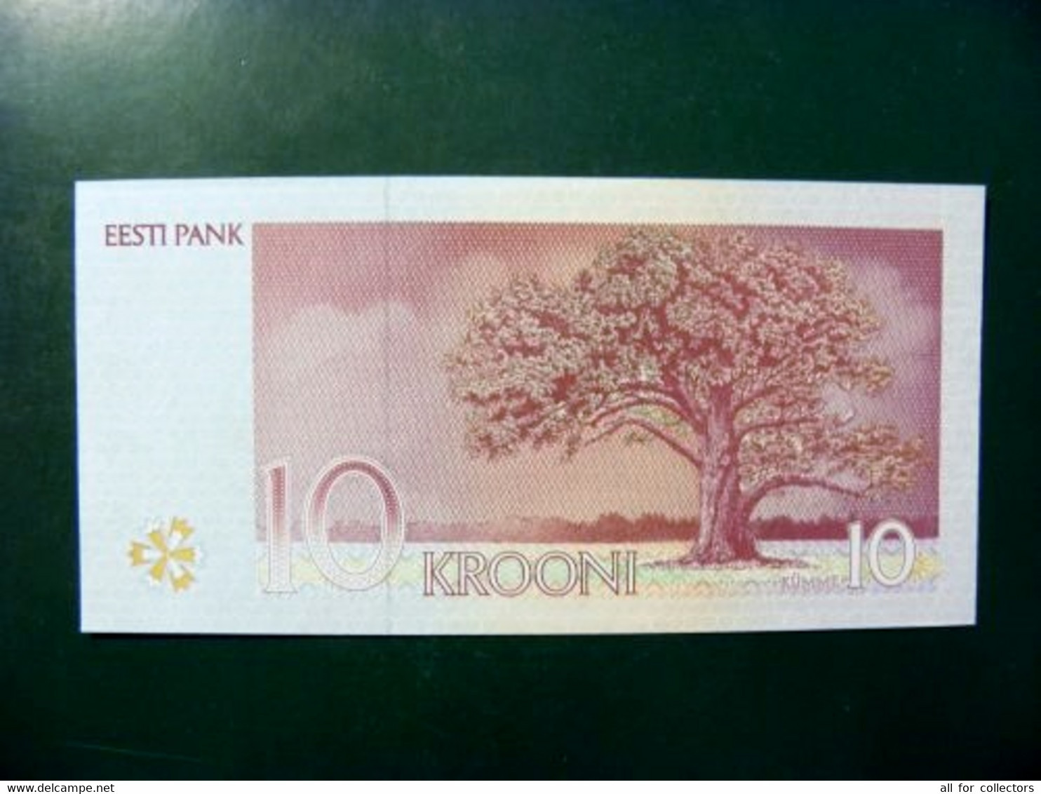 UNC Banknote Estonia 10 Krooni 1994 P-77a Oak Tree - Estonie