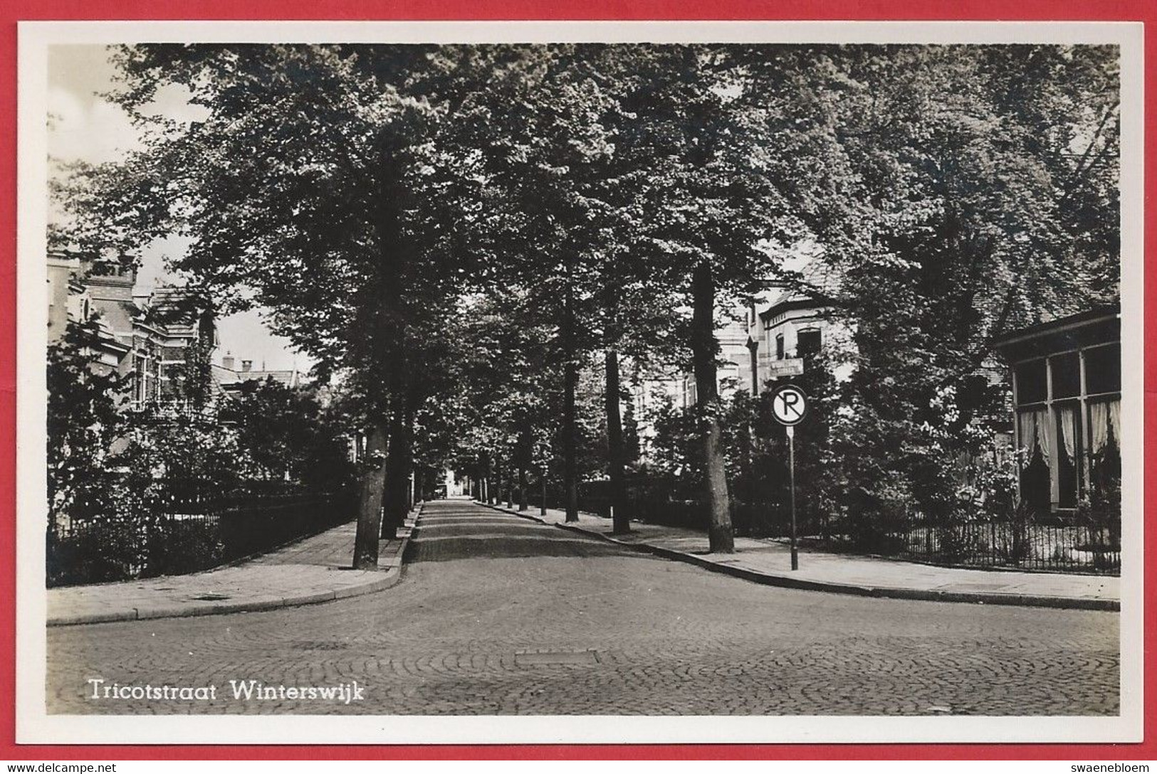 NL.- WINTERSWIJK. TRICOTSTRAAT. Uitgave G.J. Albrecht. - Winterswijk