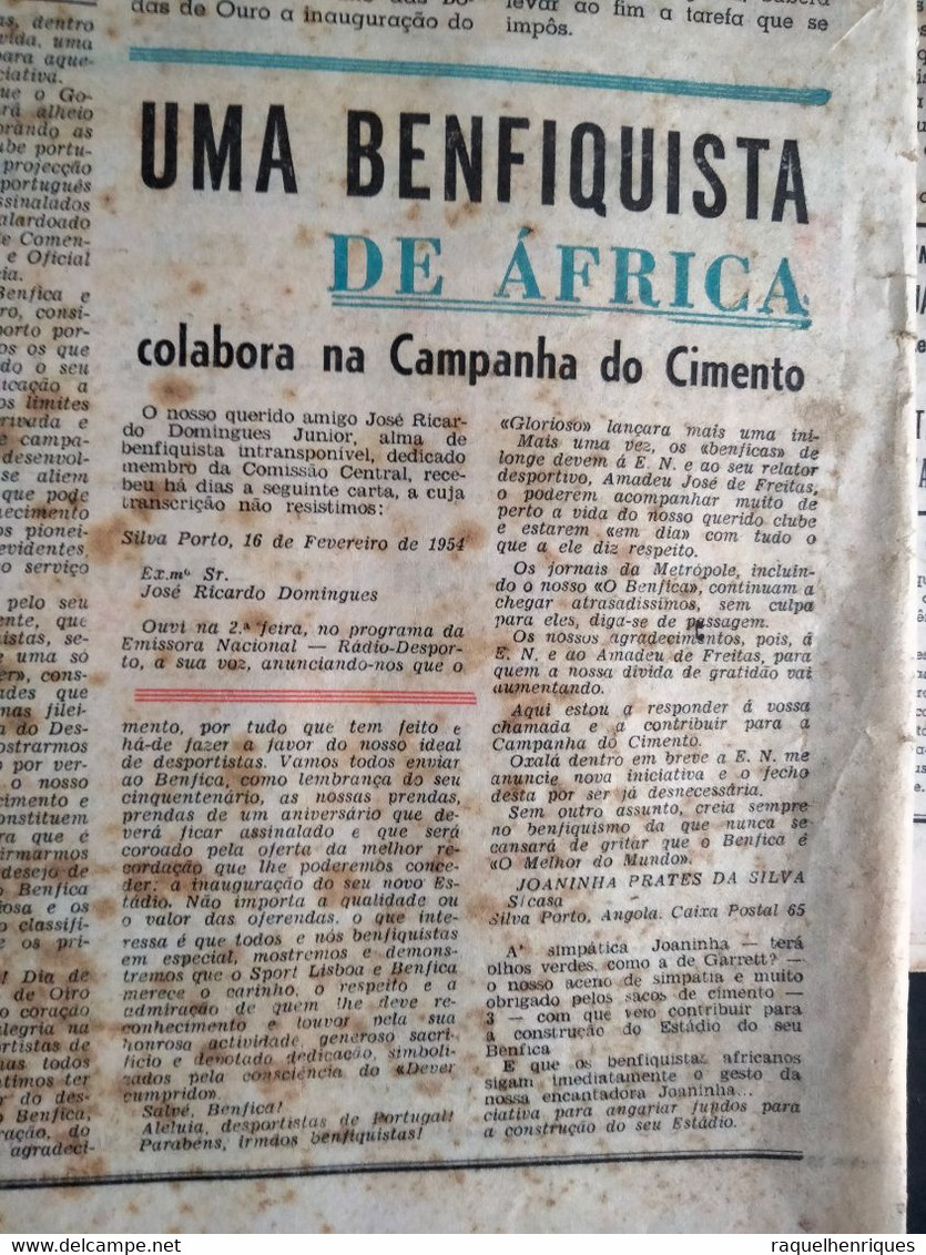 JORNAL O BENFICA - 28 de FEVEREIRO 1954 - NUMERO 587 - BODAS DE OURO - 2 JORNAIS 63 PAGINAS - RARO