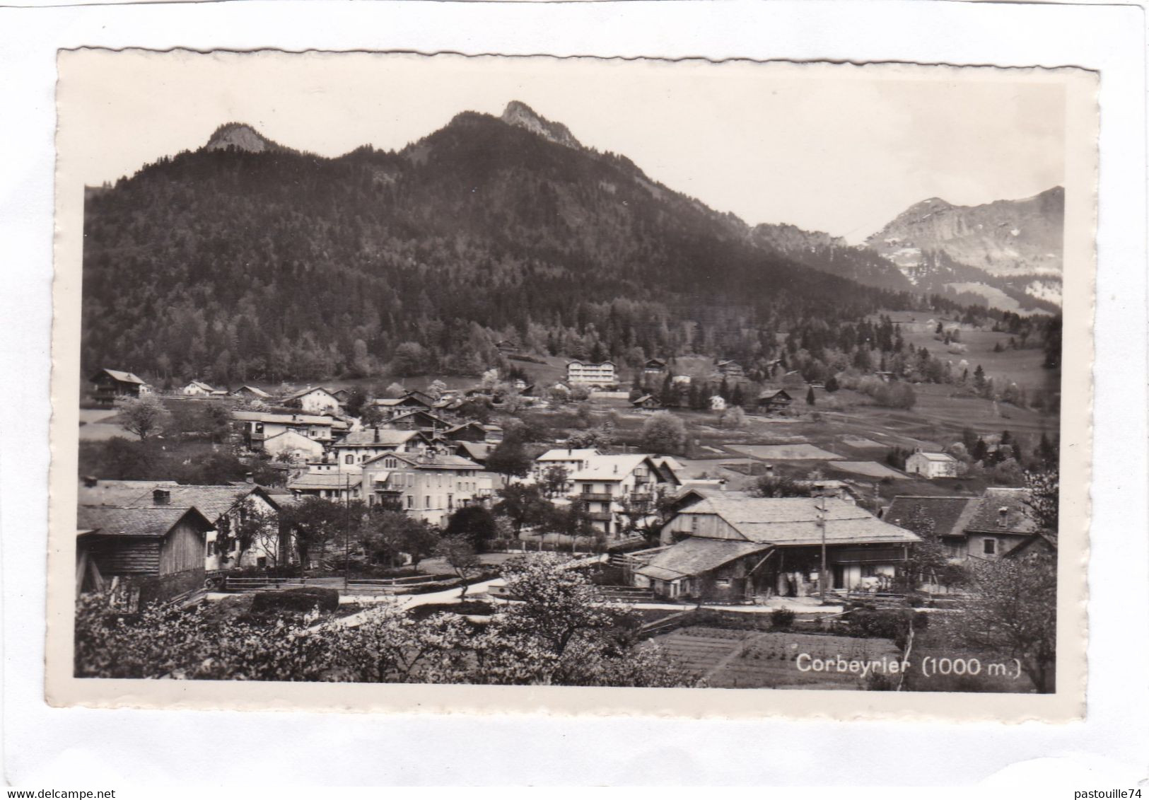 CPSM :  14 X 9  -  Suisse - Corbeyrier - Corbeyrier