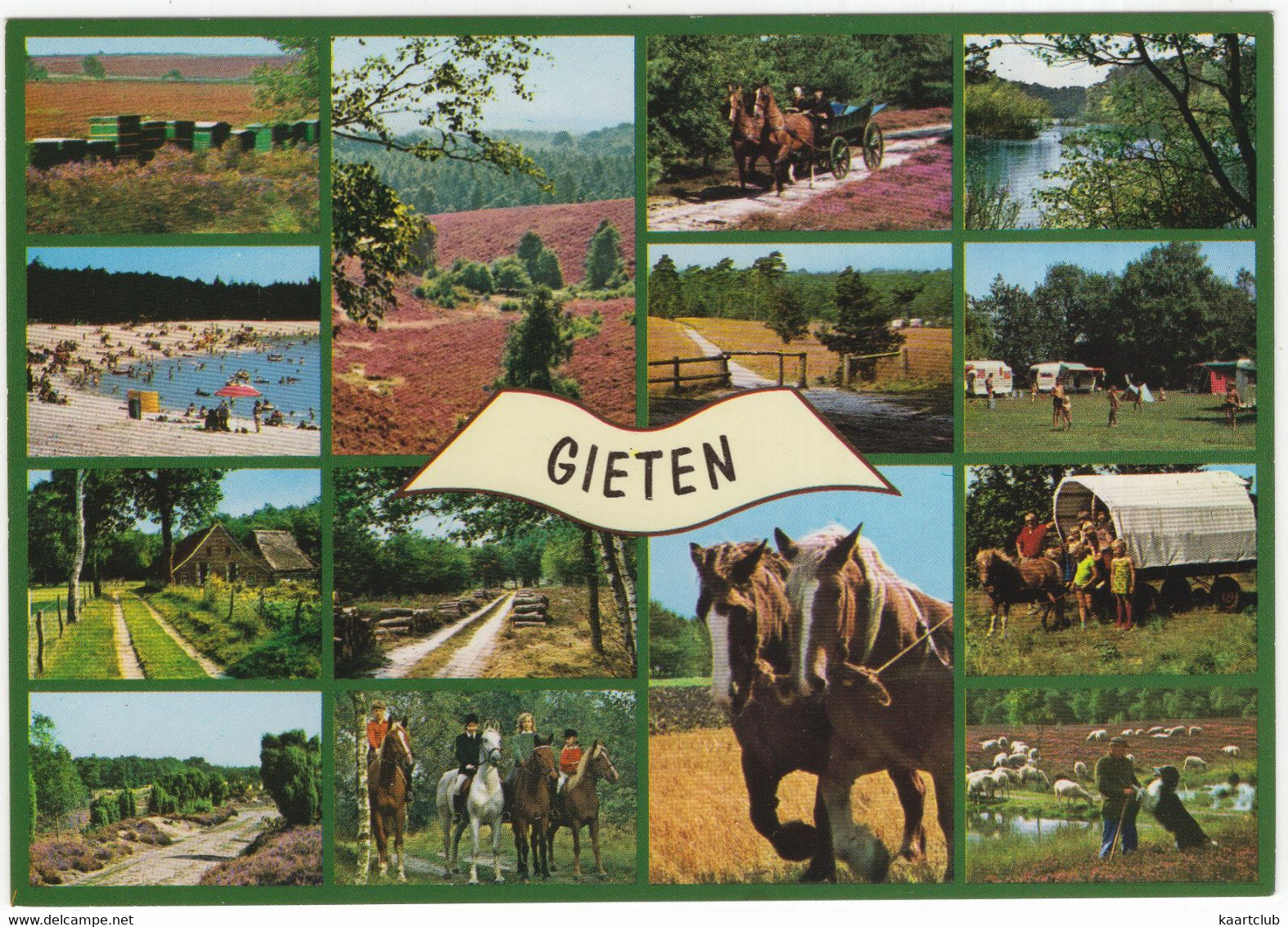 Gieten - Bijenkorven, Heide, Paarden Etc. - (Drenthe, Holland) - Gieten