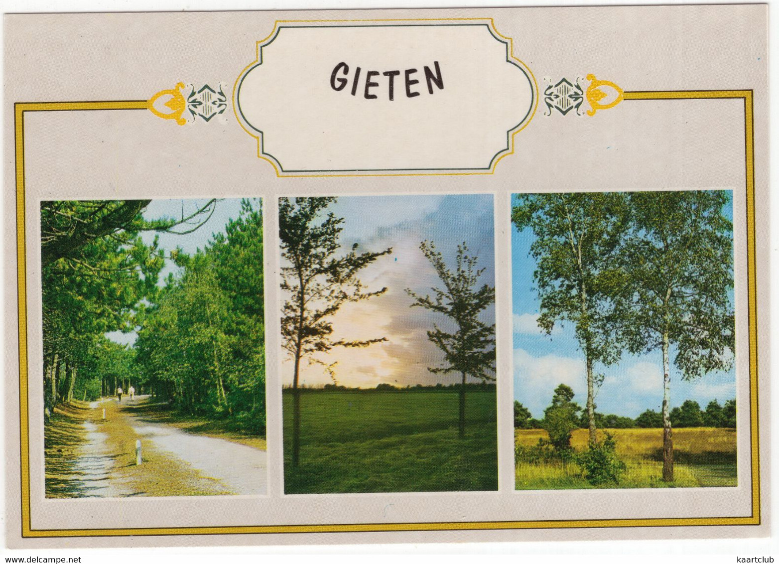 Gieten - Bos, Heide, Berkenbomen Etc.  - (Drenthe, Holland) - Gieten