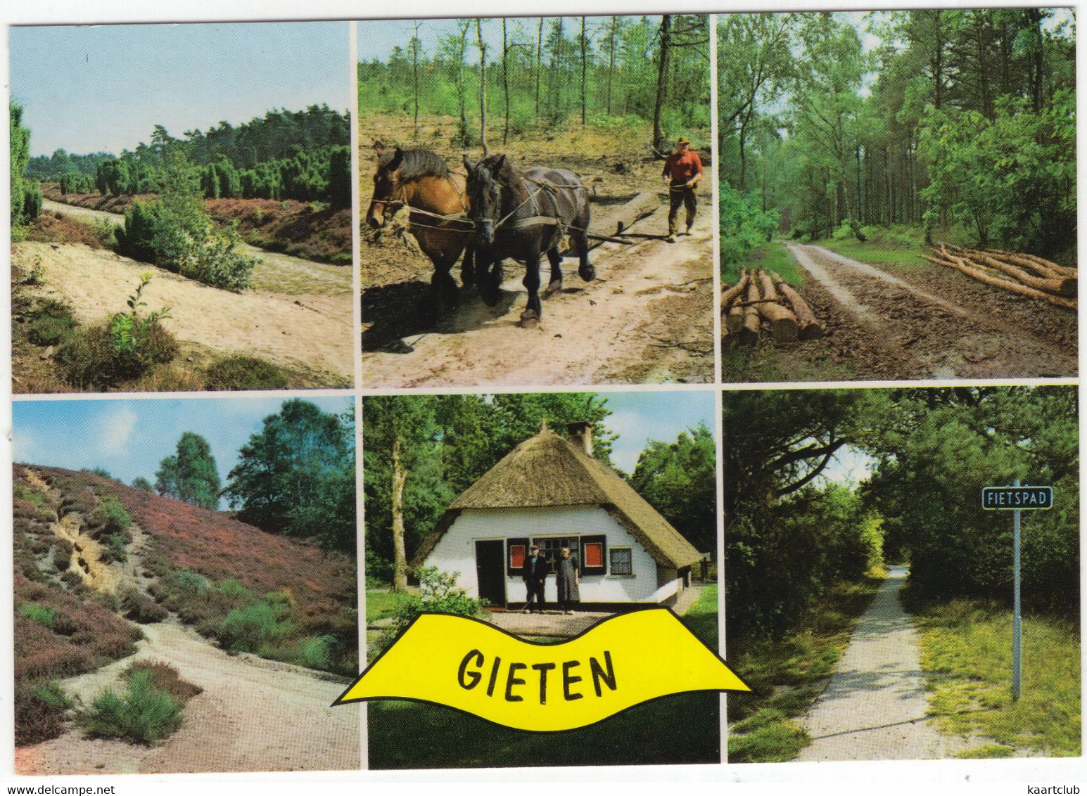 Gieten - Bos, Heide, Paarden, Boerderij, 'Fietspad' Etc.  - (Drenthe, Holland) - Gieten