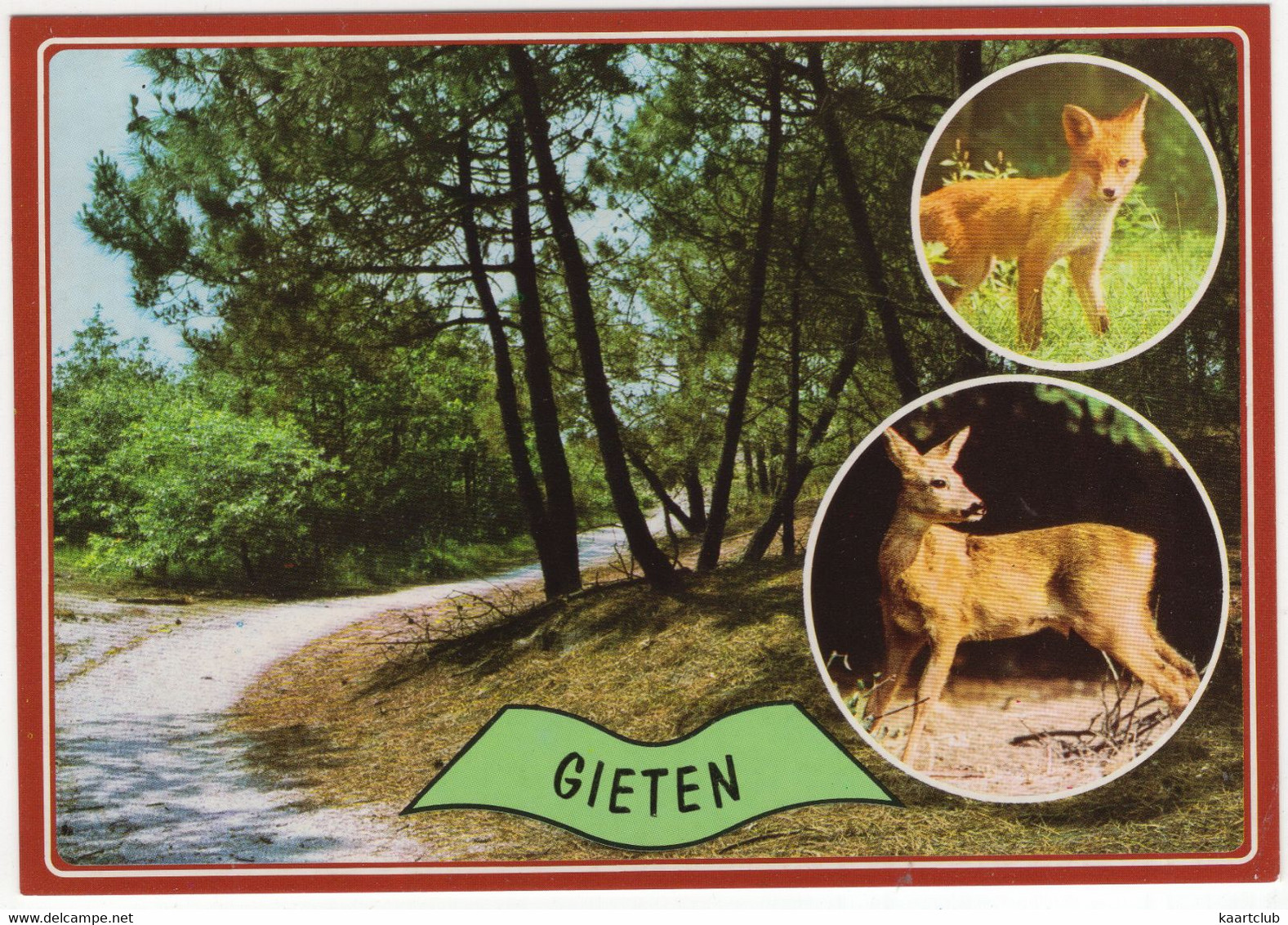 Gieten - Vos En Ree - Bos - (Drenthe, Holland) - Gieten