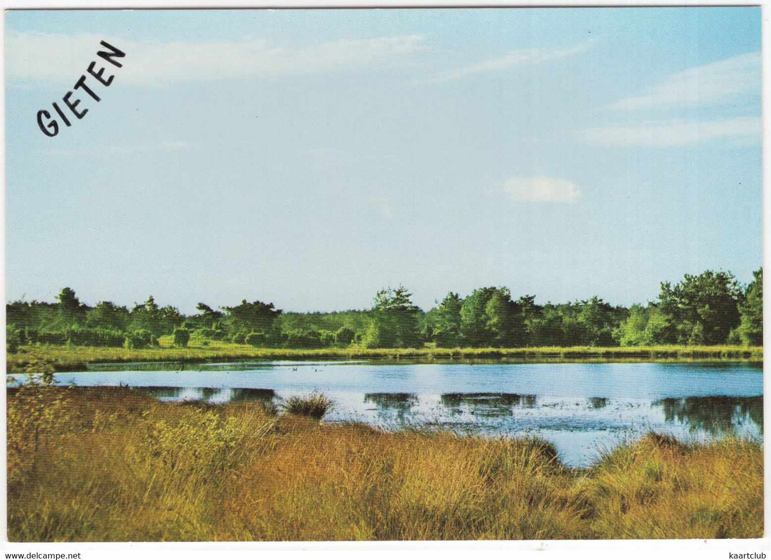 Gieten - Bosvennetje - (Drenthe, Holland) - Gieten