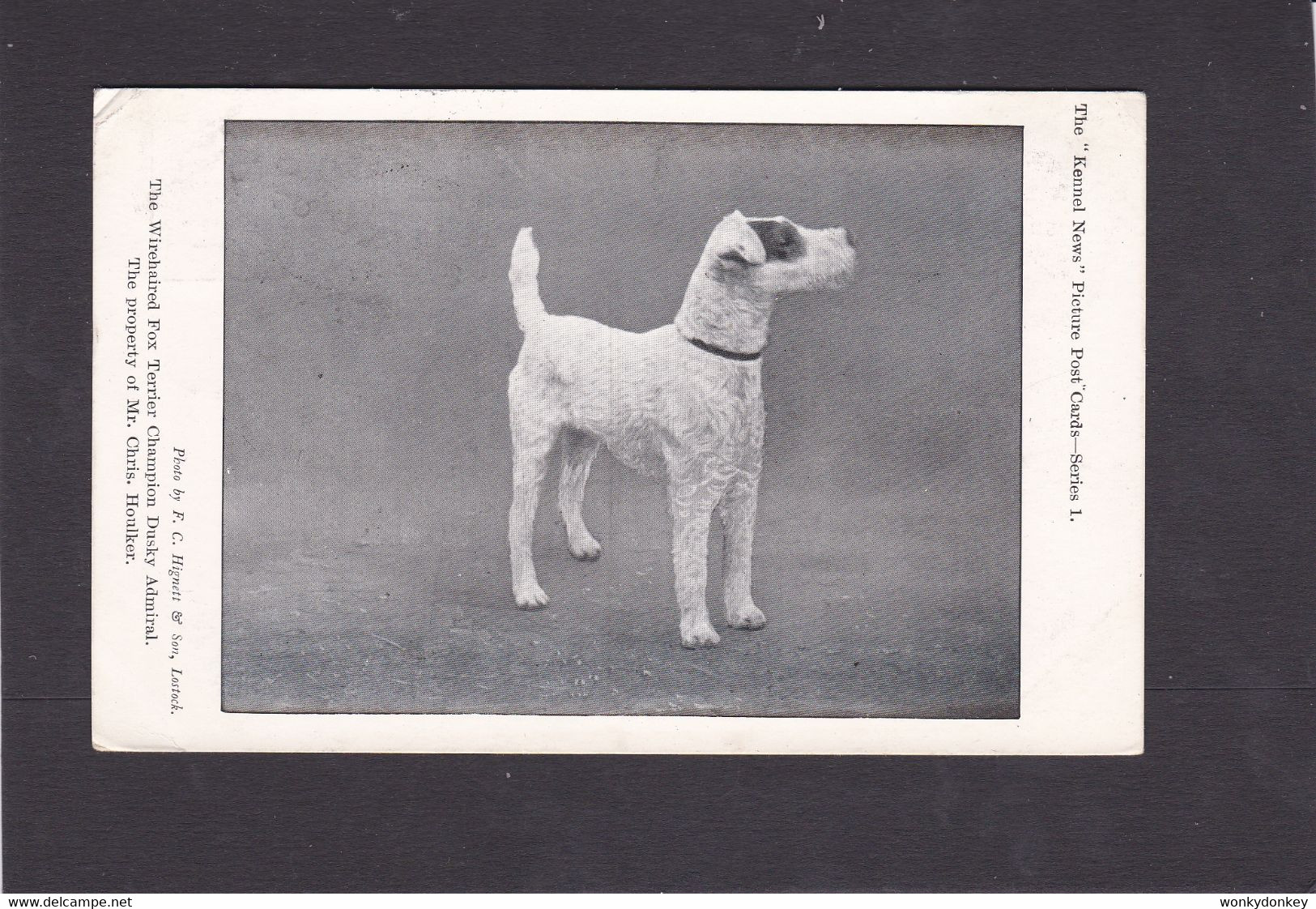 Dog Card - Wirehaired Fox Terrier, Champion Dusky Admiral, Property Of Mr Chris Houlker - Chiens
