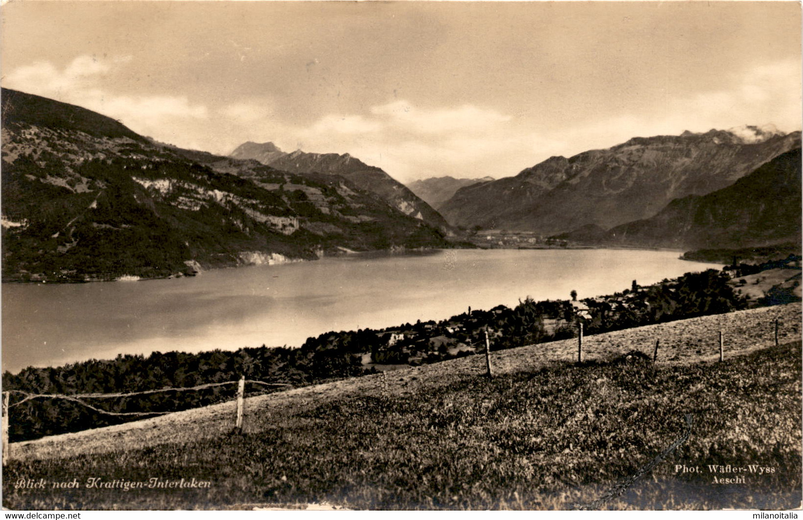 Panorama Vom Thunersee - Blick Nach Krattigen-Interlaken * 24. 8. 1929 - Krattigen
