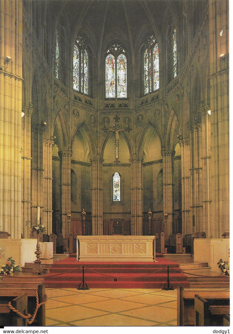 ARUNDEL CATHEDRAL, ARUNDEL, SUSSEX, ENGLAND. UNUSED POSTCARD  Ph6 - Arundel