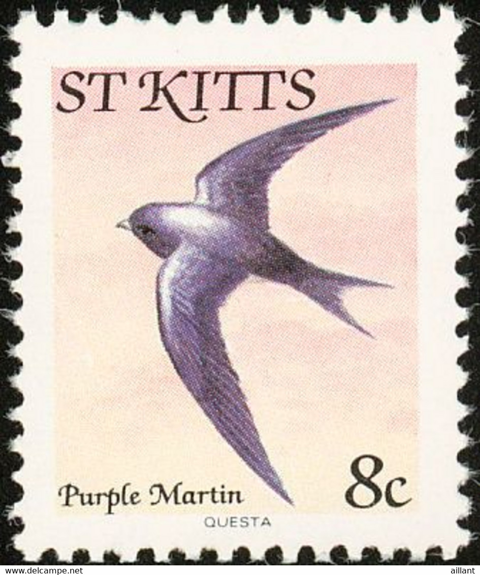 St Kitts. 1981   Hirondelle à Ventre Blanc     Caribbean Martin - Hirondelles