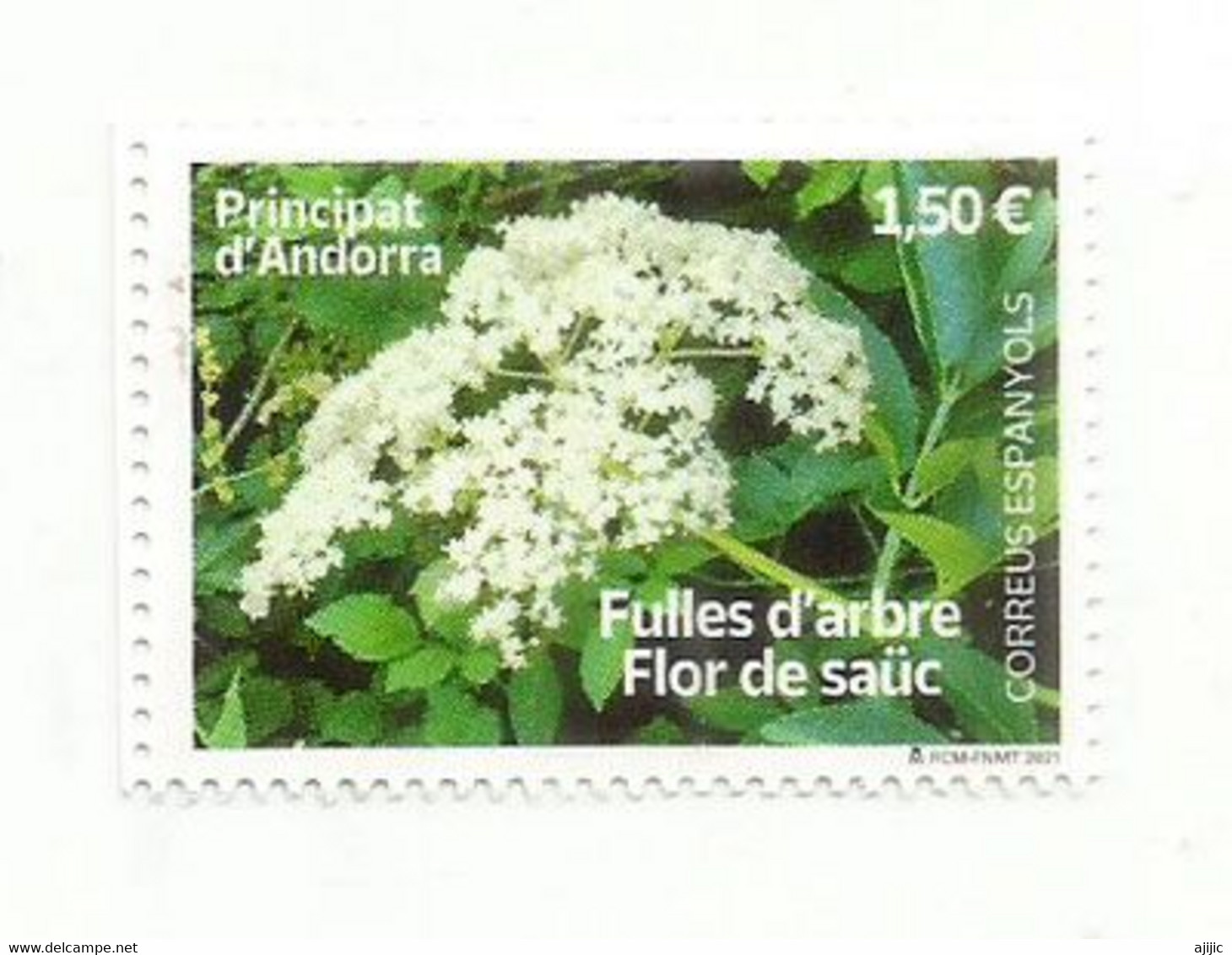 Elderflower/Flor De Saúco/Fleur De Sureau. 2021. Sello Nuevo **  - Timbre Neuf ** - Neufs