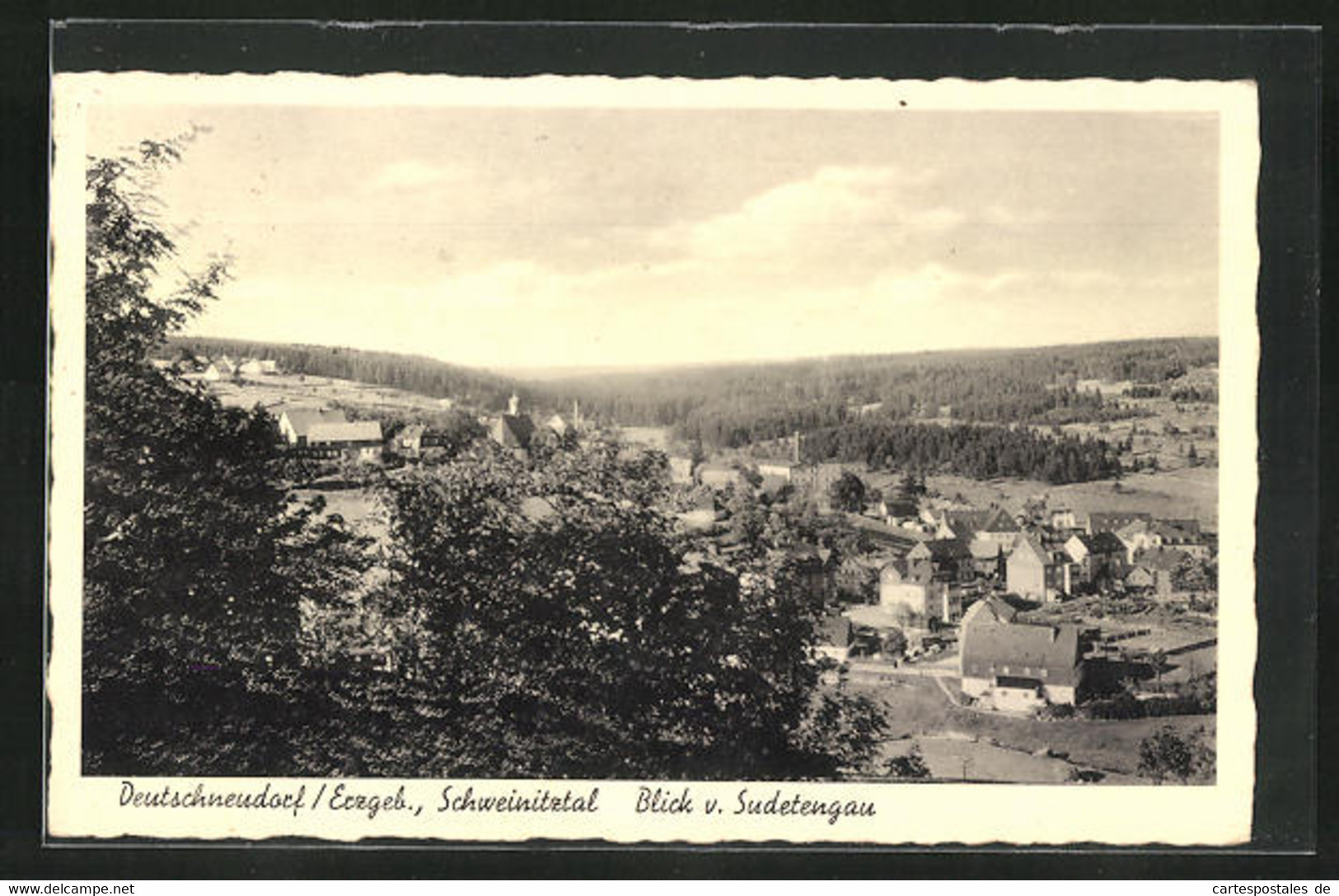 AK Deutschneudorf /Erzgeb., Blick Von Sudetengau In Das Schweinitztal - Deutschneudorf