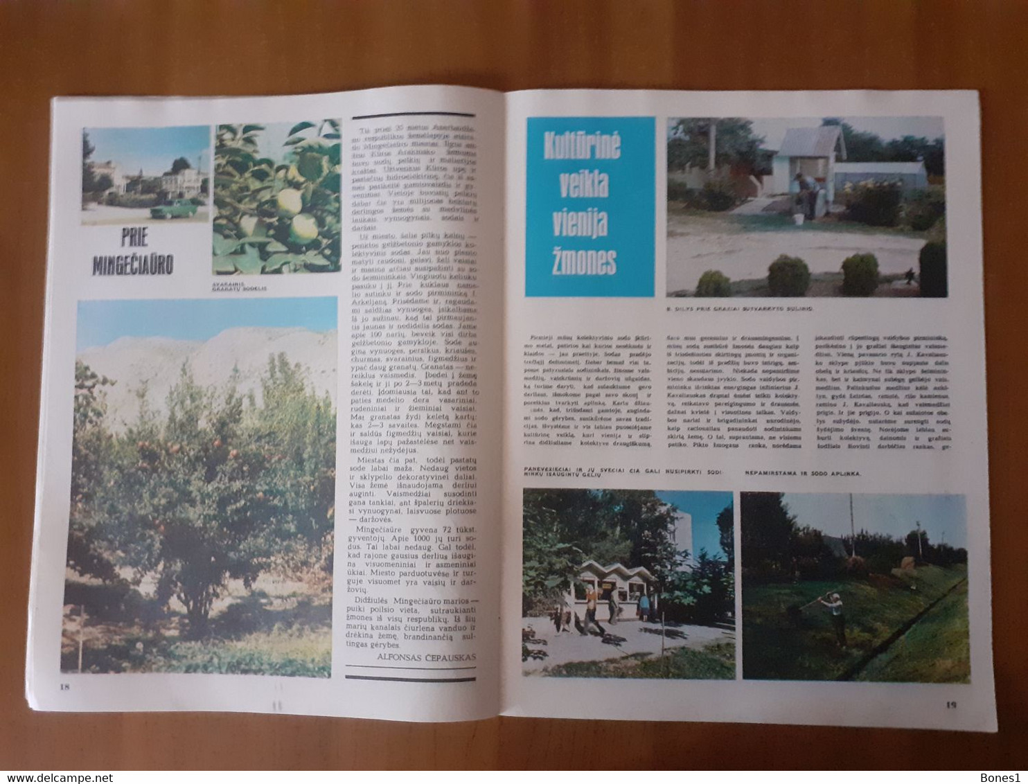 Lithuania Magazine Garden 1984 - Garden