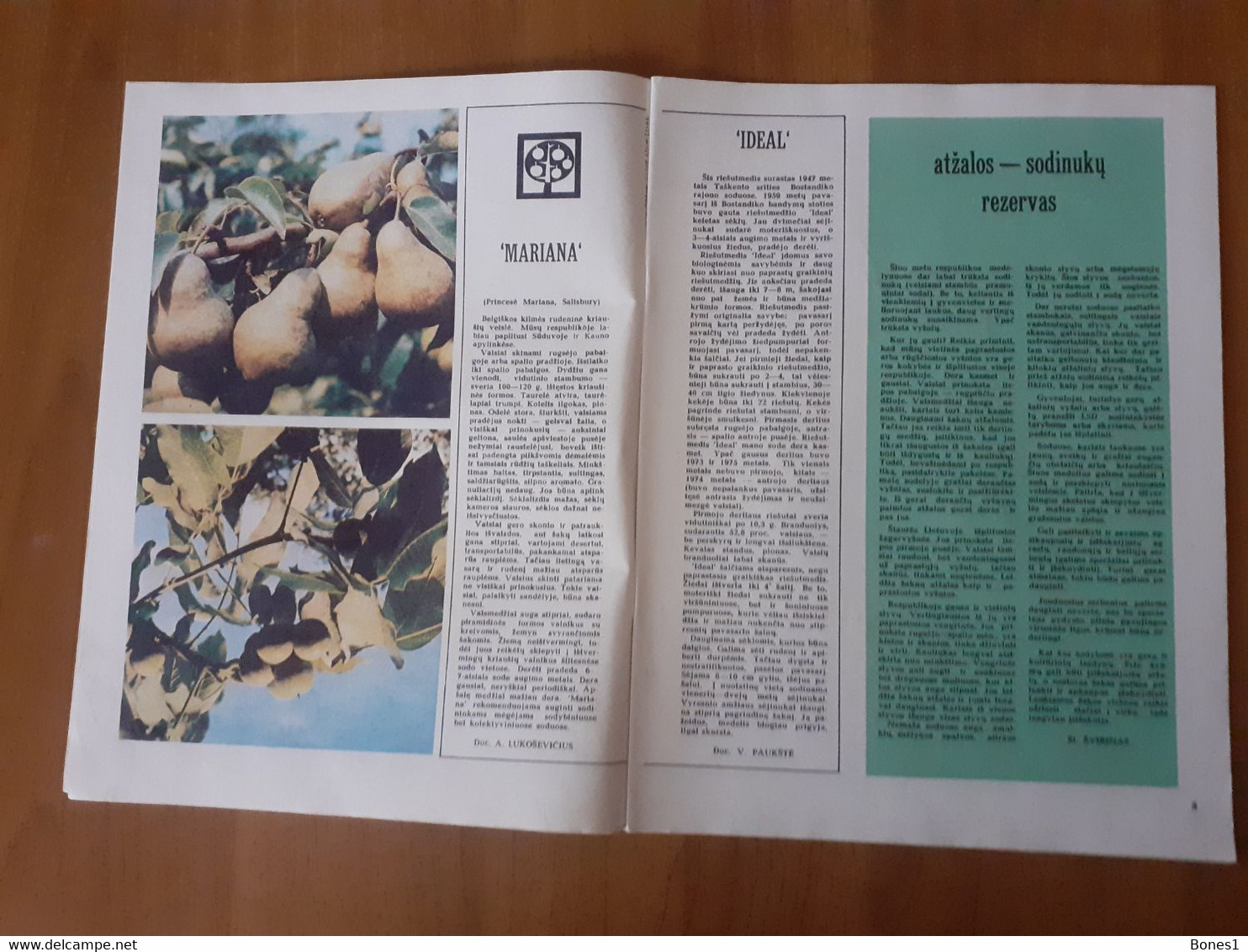 Lithuania Magazine Garden 1976 - Giardinaggio