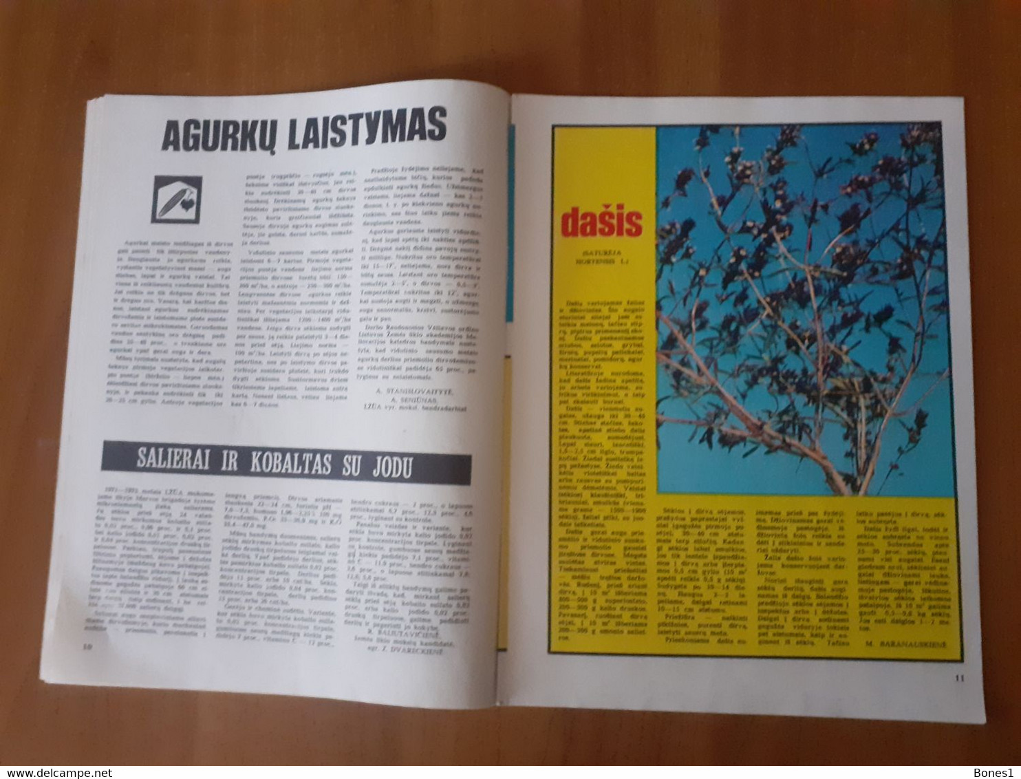 Lithuania Magazine Garden 1976 - Giardinaggio