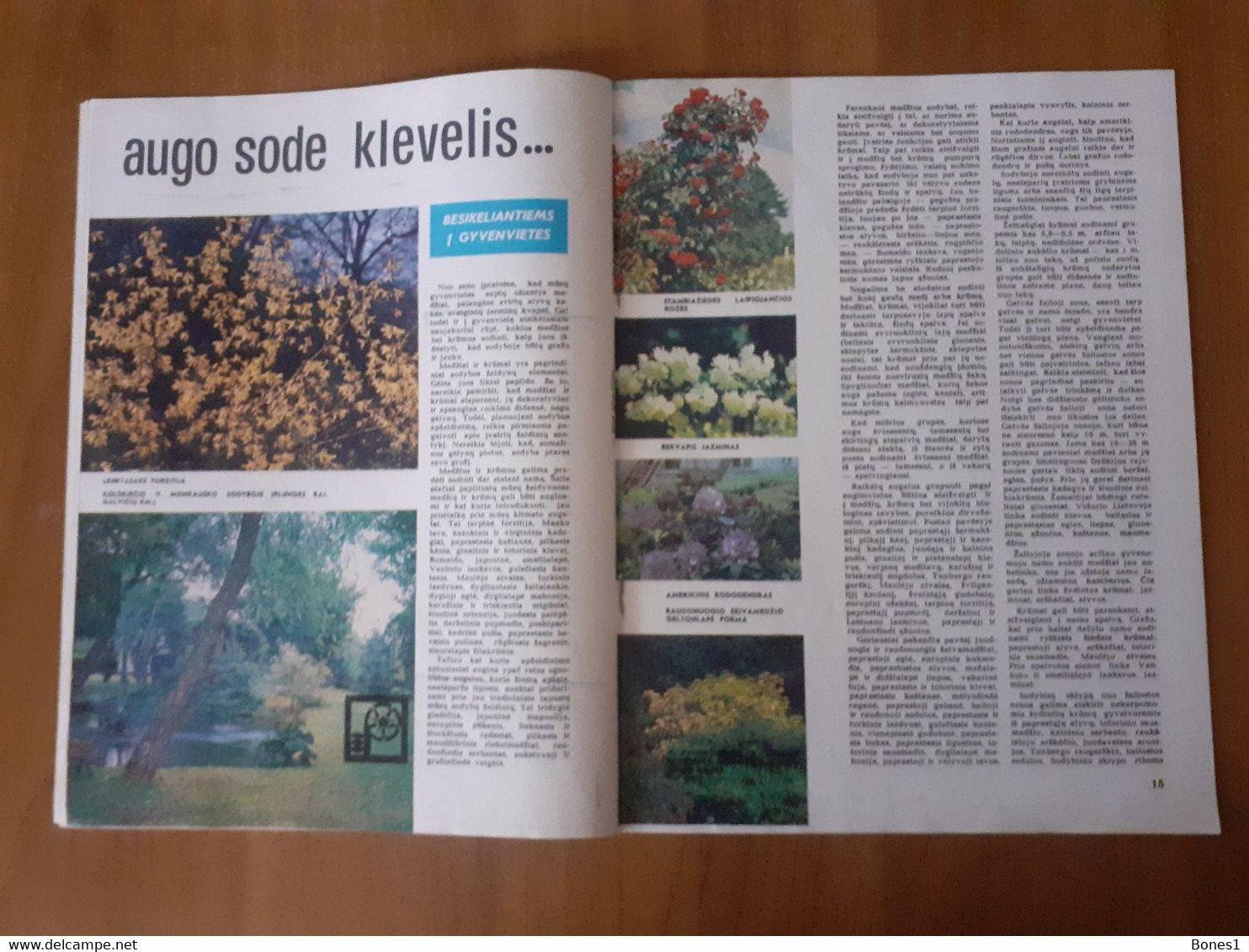 Lithuania Magazine Garden 1976 - Garten