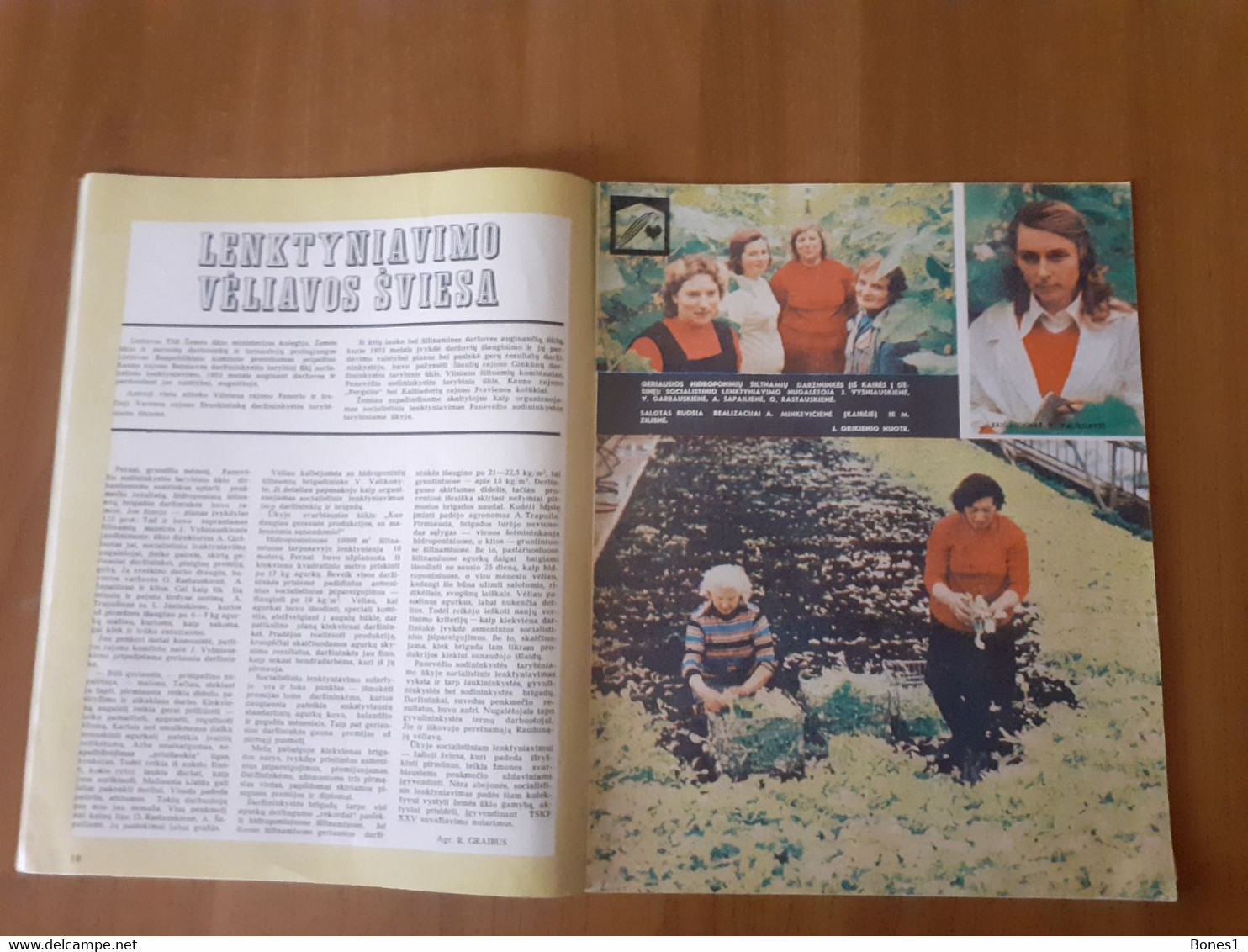 Lithuania Magazine Garden 1976 - Jardinería