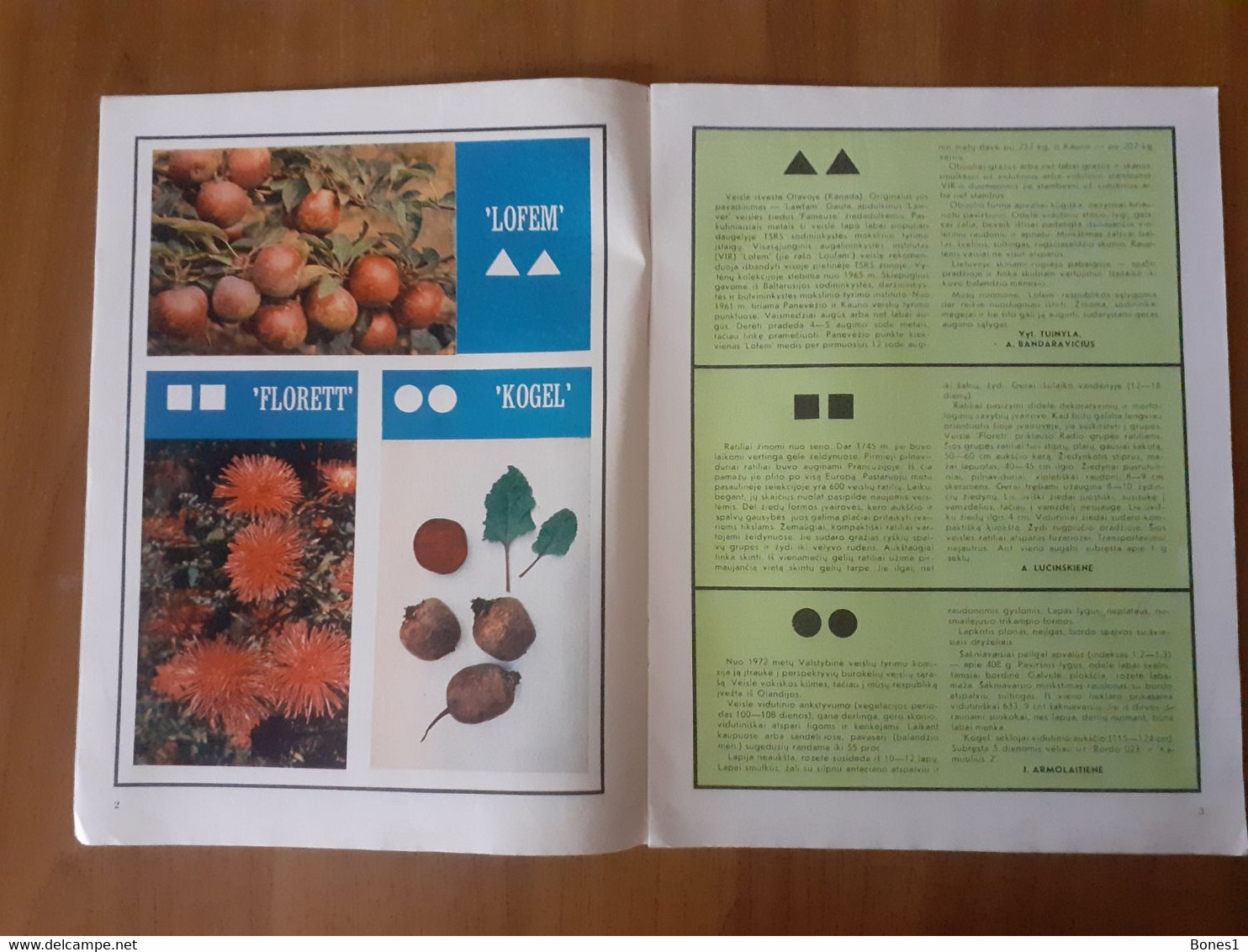 Lithuania Magazine Garden 1974 - Giardinaggio