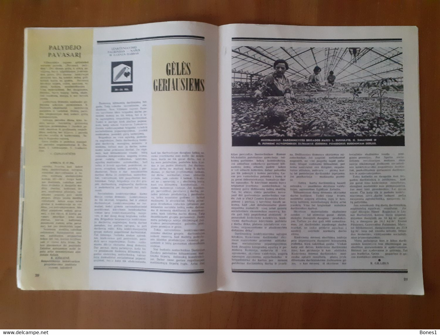 Lithuania Magazine Garden 1974 - Giardinaggio