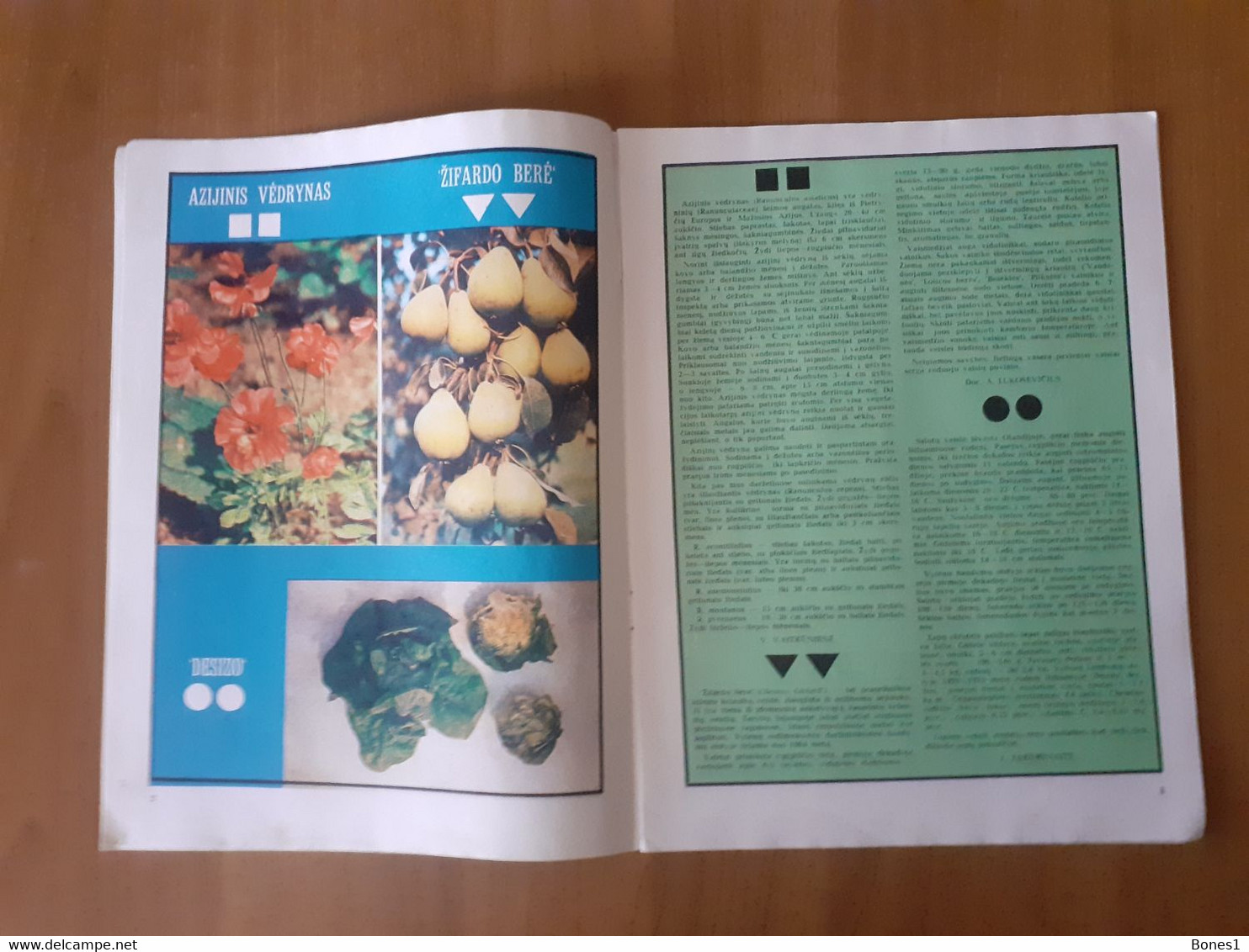 Lithuania Magazine Garden 1974 - Jardinería