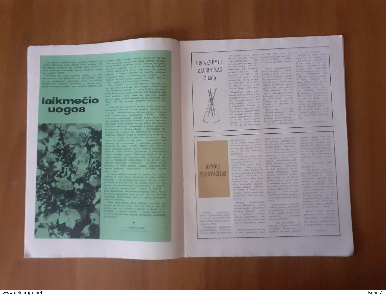 Lithuania Magazine Garden 1974 - Tuinieren