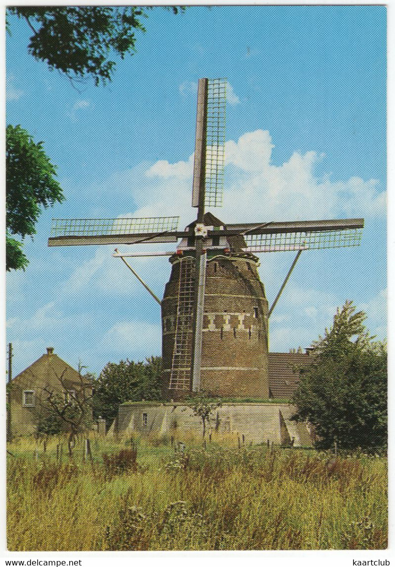 Gronsveld - Korenmolen. Type: Torenmolen Op Belt -1623- (Limburg, Holland) - (Moulin à Vent, Mühle, Windmill, Windmolen) - Margraten