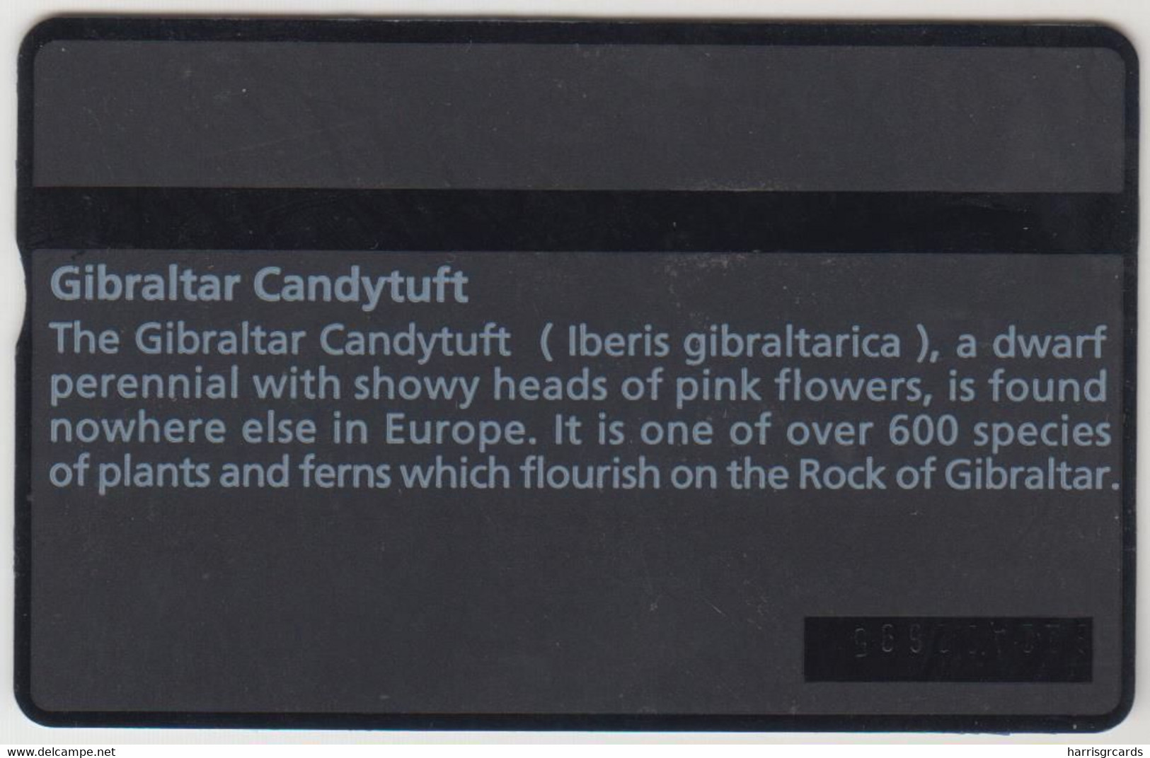 GIBRALTAR - Gibraltar Candytuft Collectors Ed., 5 U, 01/92,CN:302A,  Tirage 4.000, Mint - Gibraltar