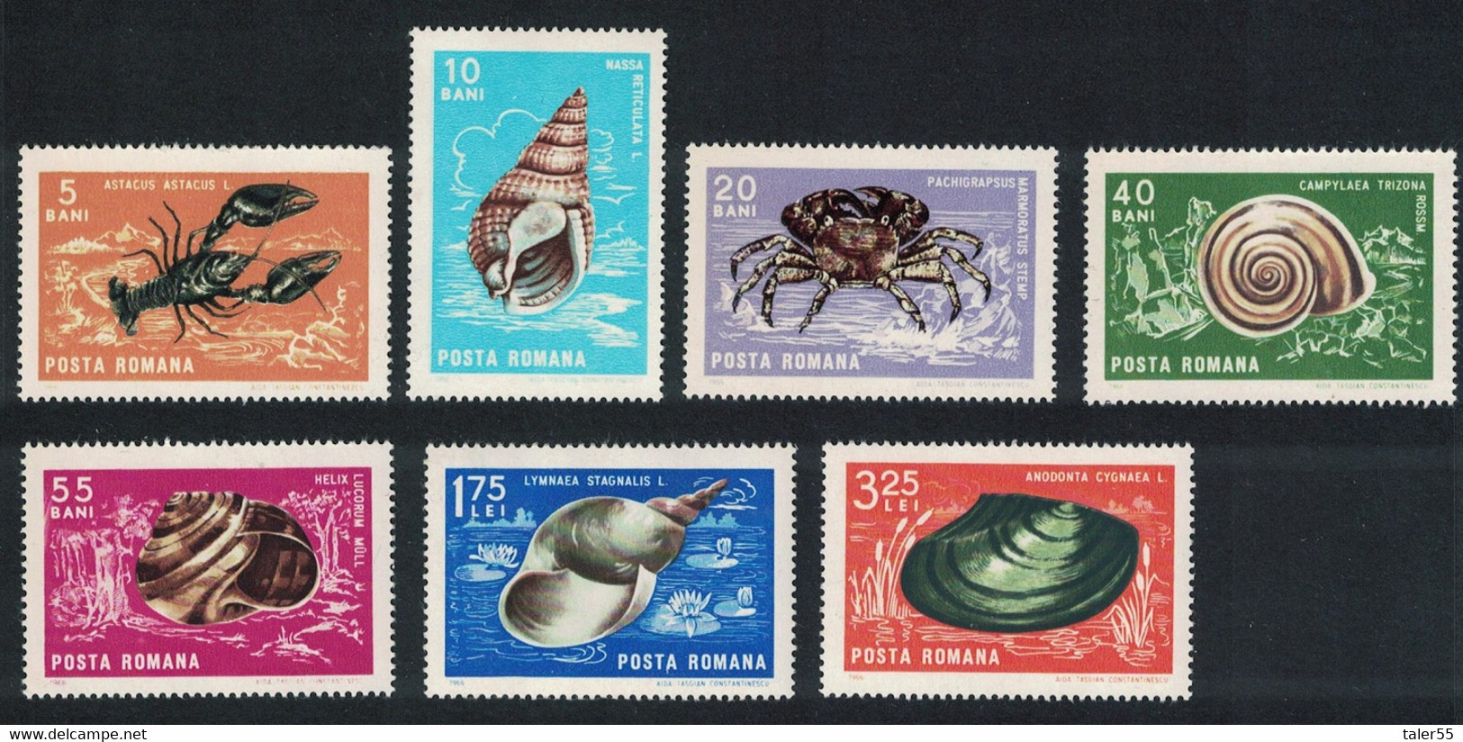 Romania Crustaceans And Molluscs 7v 1966 MNH SG#3412-3419 MI#2544-2551 CV€9.- - Ongebruikt