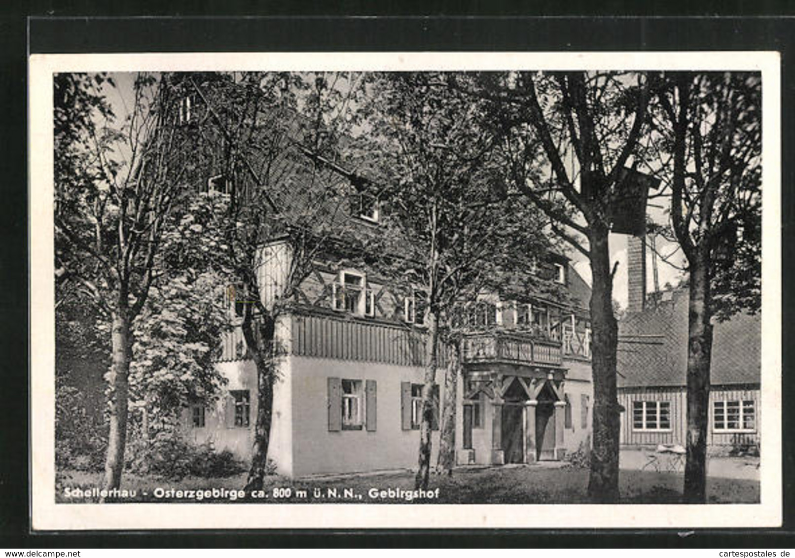 AK Schellerhau / Erzgeb., Gasthaus Gebirgshof - Schellerhau