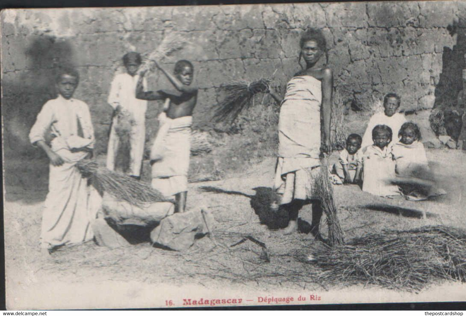 CPA MADAGASCAR Le Dépiquage Du RIZ (très Beau Plan) ~~ Approx 1912 Ethnic Glamour Beauty - Madagascar