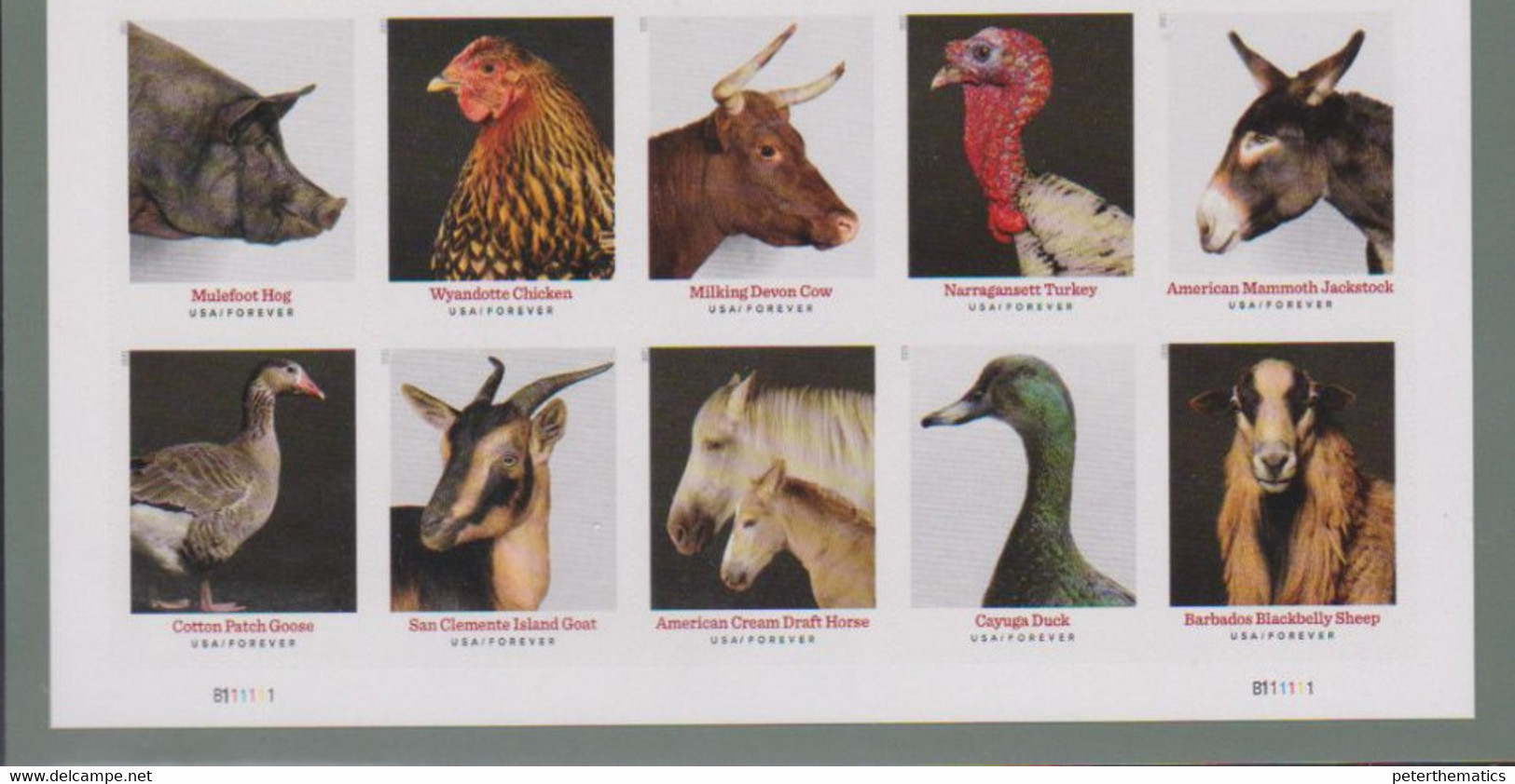 USA, 2021, MNH, HERITAGE BREEDS, HORSES, DUCKS, GEESE, SHEEP, COWS, GOATS, HOGS,10v - Entenvögel