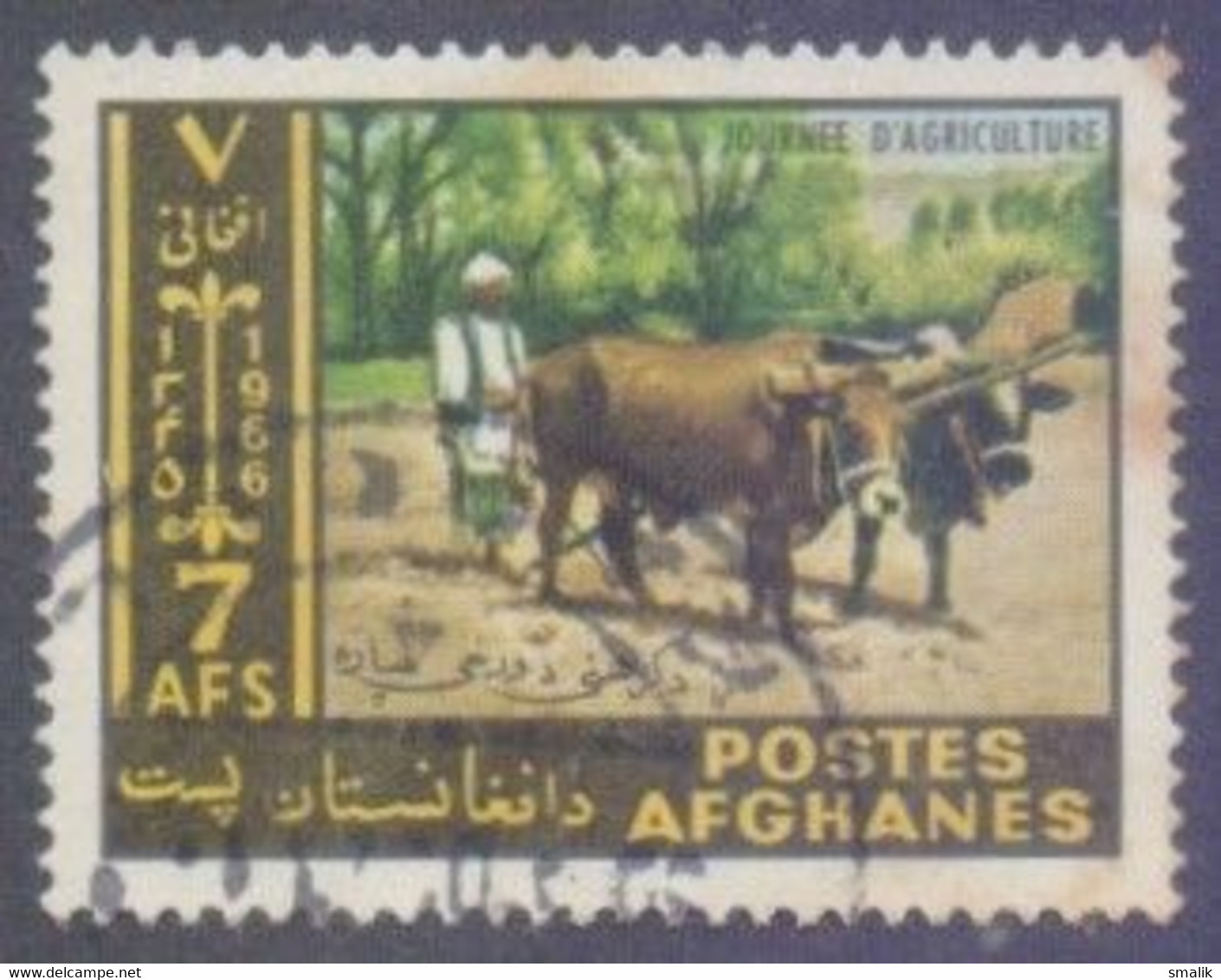 AFGHANISTAN 1966 - Cow, Animals, Agriculture. Fine Used - Afghanistan