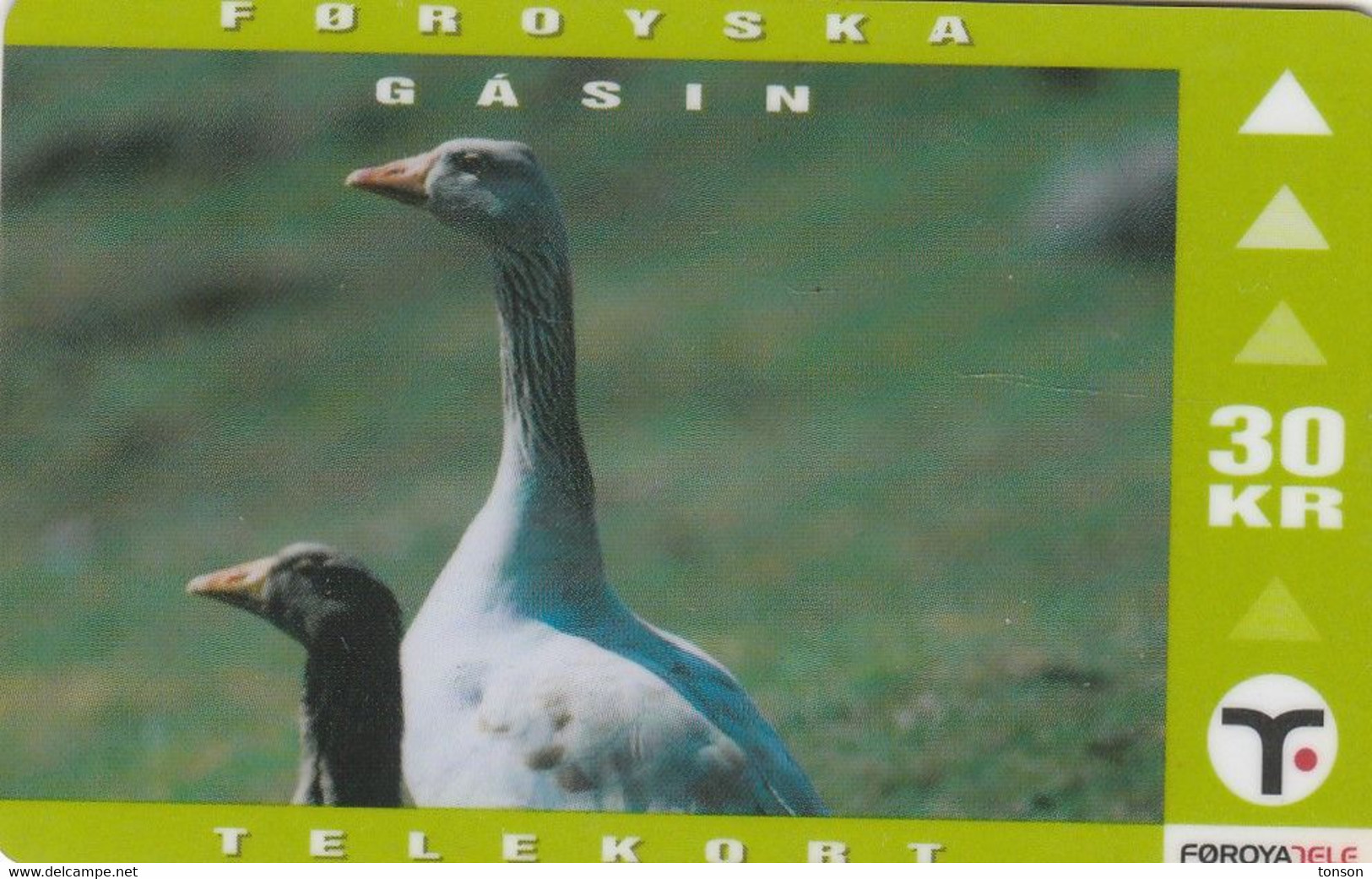 Faroe Islands, OD-023,  30 Kr , Faroese Animals, Goose, 2 Scans. - Faroe Islands