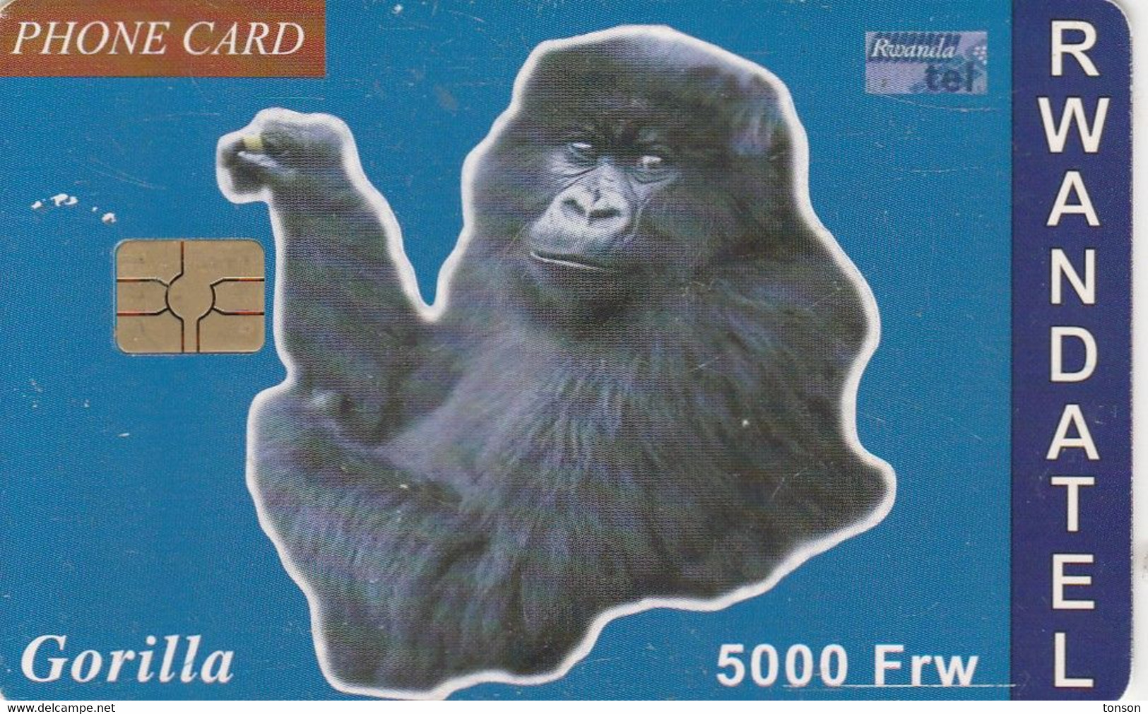 Rwanda, RWA-06, 5000 Frw, Gorilla, 2 Scans.  Please Read. - Rwanda