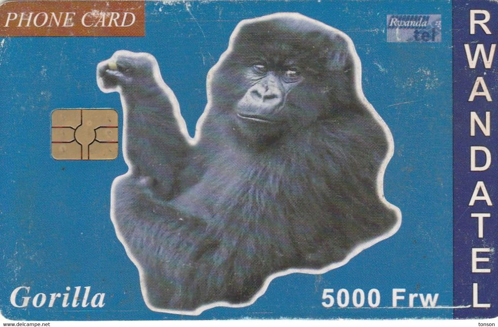 Rwanda, RWA-06, 5000 Frw, Gorilla, 2 Scans.  Please Read. - Rwanda