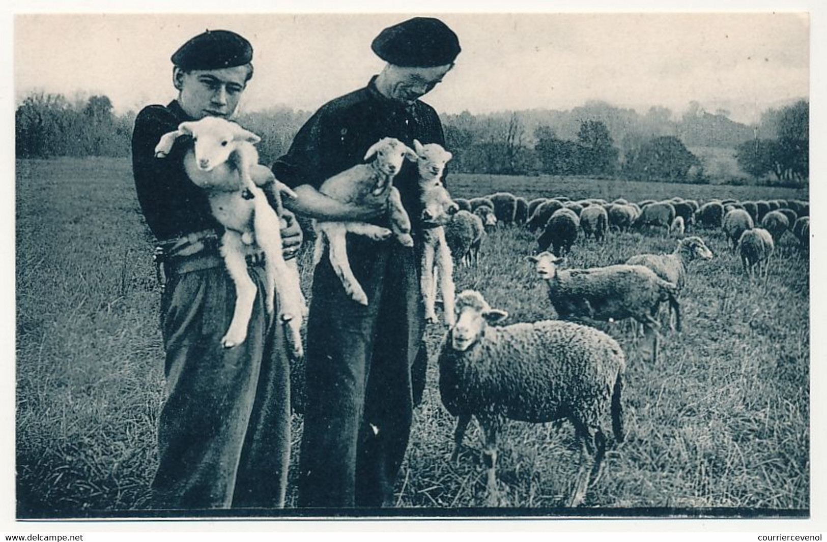 CPSM - LES COMPAGNONS DE FRANCE AUX CHAMPS - "Troupiau, Troupiau, Je N'en Avais Guère..." - Farms