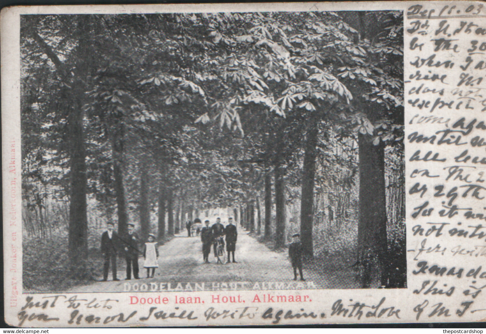 DOODE LAAN HOUT ALKMAAR Nederland  Noord-Holland  Alkmaar NETHERLANDS HOLLAND UNDIVIDED BACK USED BRIEFKAART PAYS-BAY - Alkmaar