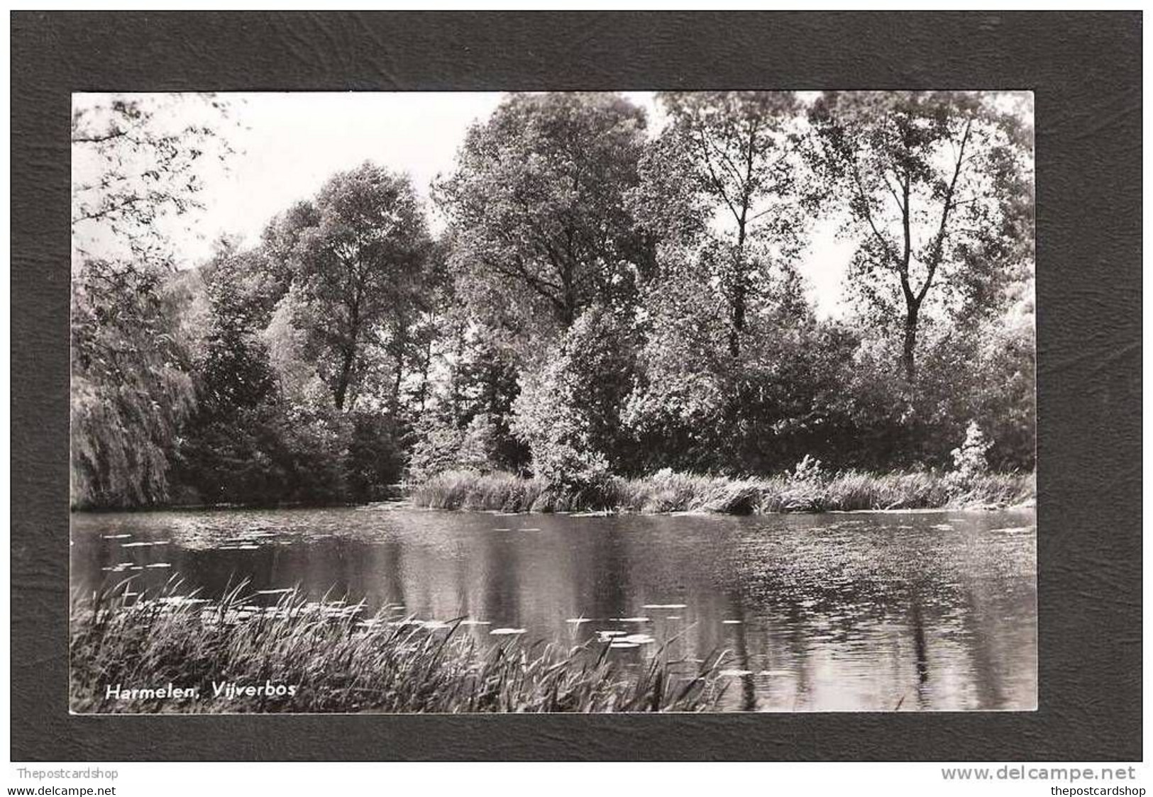 UTRECHT HARMELEN VIJVERBOS HOLLAND REAL PHOTO RP - Altri & Non Classificati