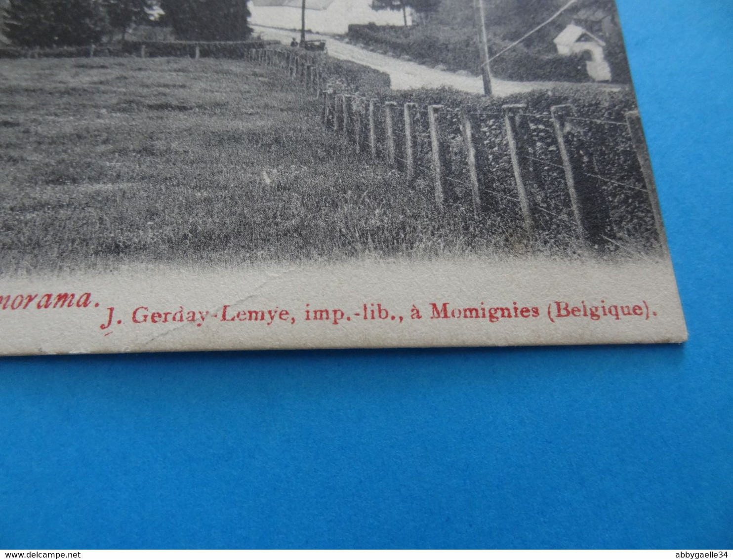 CPA De 1907 Environ De MOMIGNIES (Namur) Beauwels Panaroma Edit. J. Gerday-Lemye, Imp.-lib. à Momignies (Belgique) - Momignies