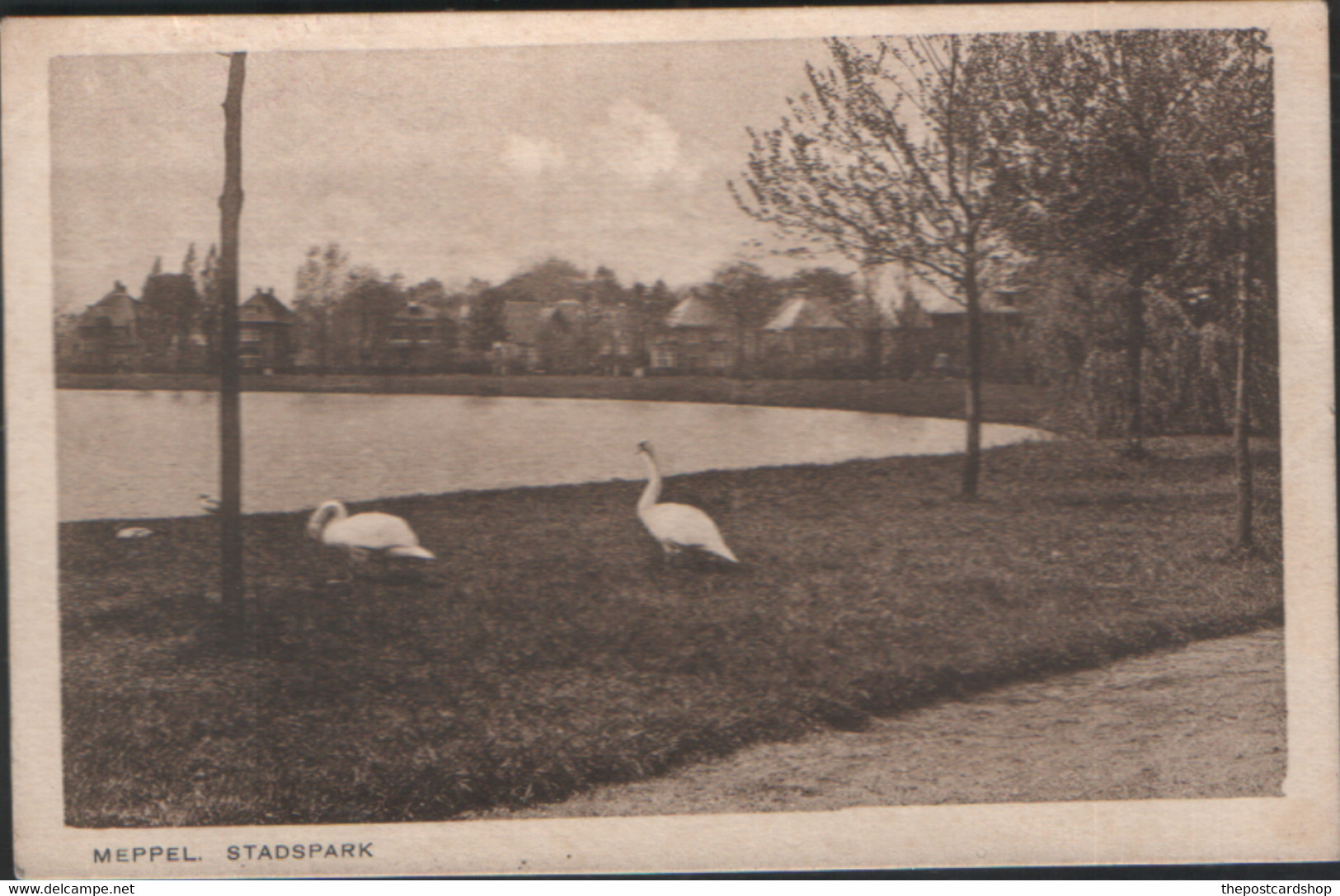 + HOLLAND PAYS BAS Drenthe Meppel Stadspark Swans More Cheap Holland Cards For Sale - Meppel