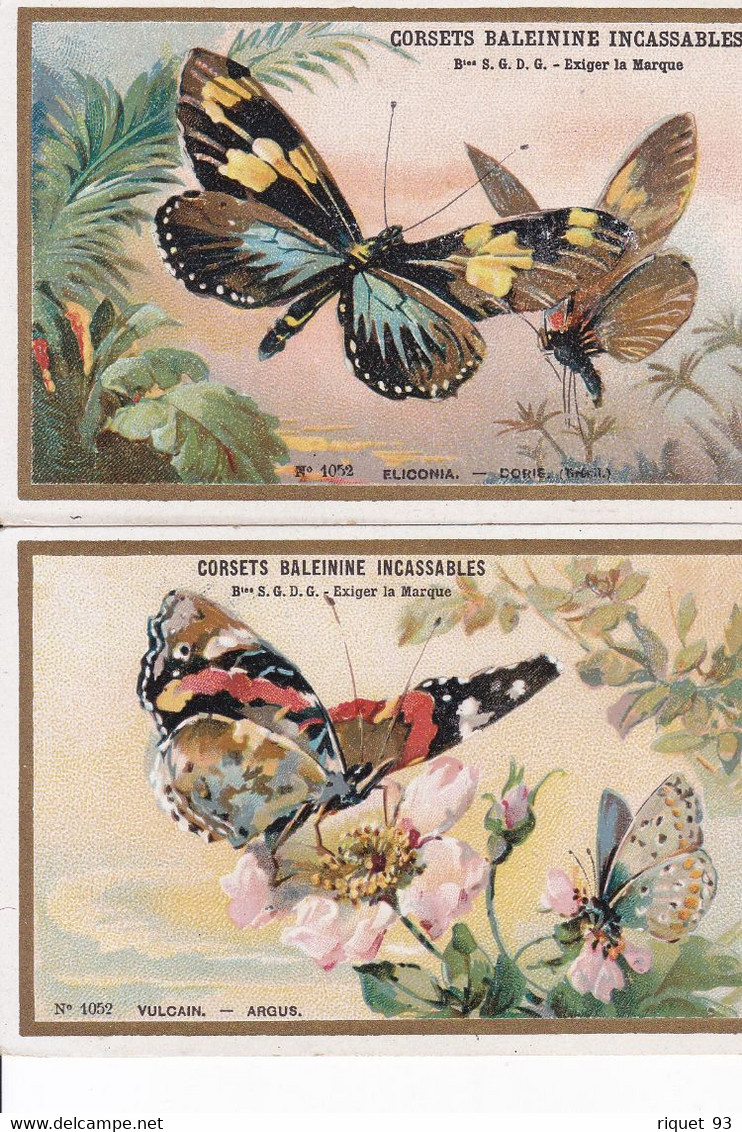 Lot 2 Images - Le CORSET BALEININE INCASSABLE - Papillons - Sonstige & Ohne Zuordnung
