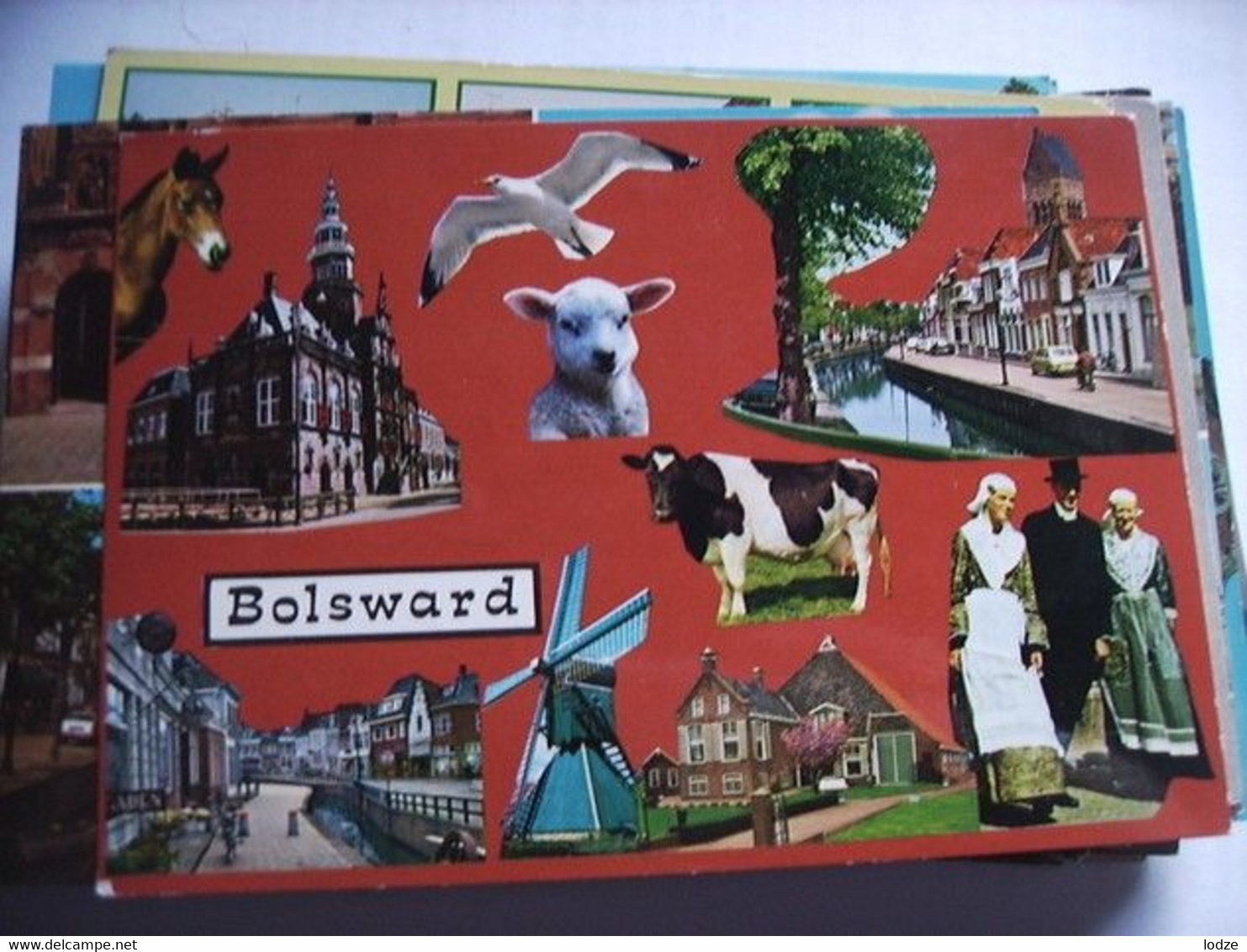 Nederland Holland Pays Bas Bolsward Met Dieren En Klederdracht In Rood - Bolsward