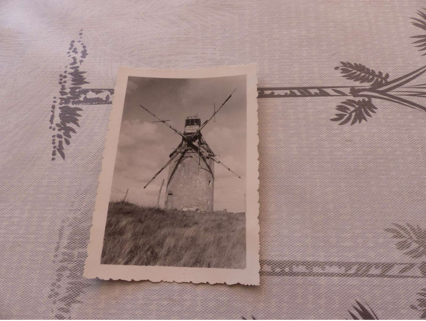 P-234 , Photo , JARD SUR MER, Le Moulin De Conchette Dans La Dune Près De La Plage, Août 1951 - Places